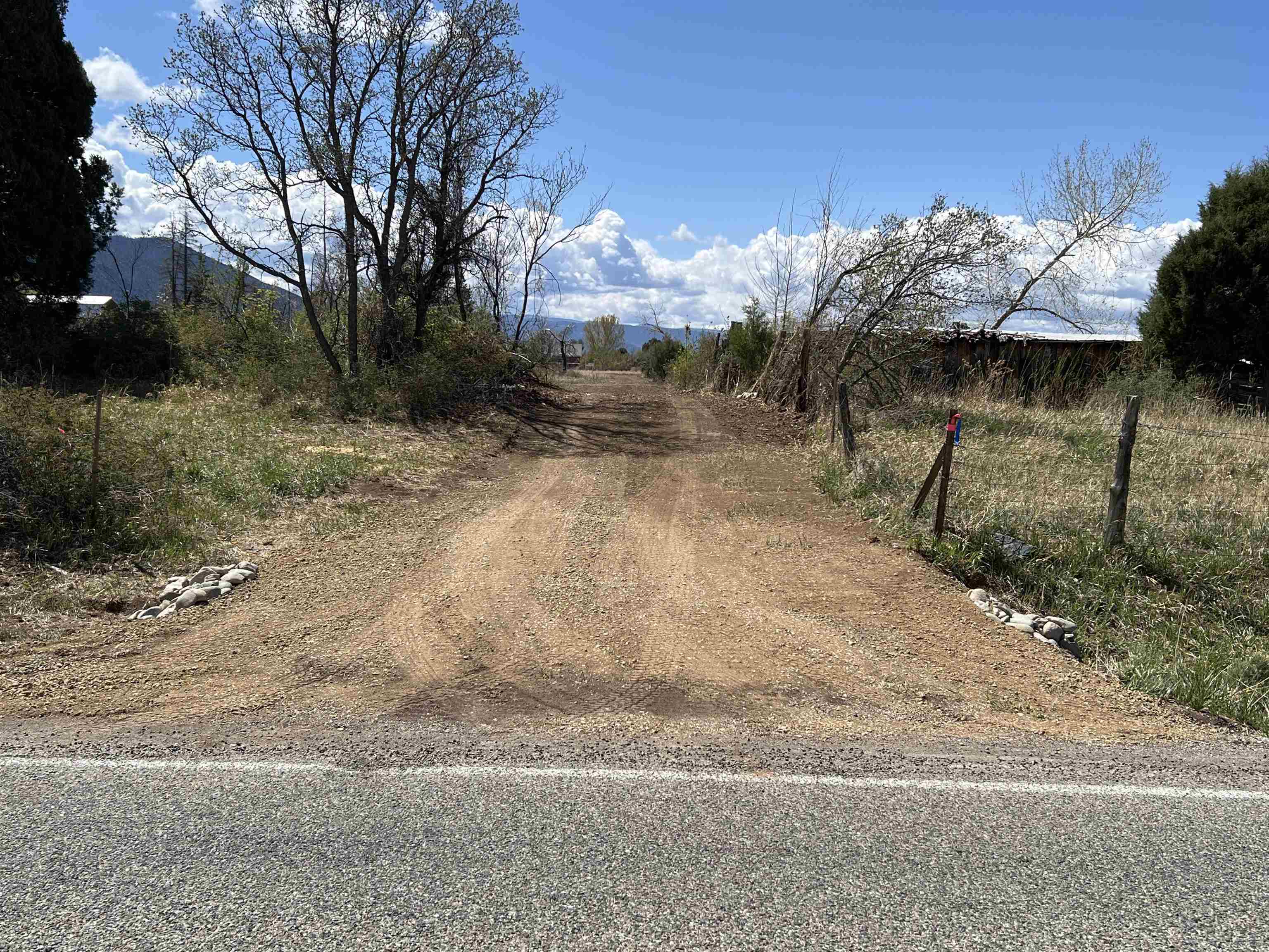 Tract 2 Hwy 150, Arroyo Seco, New Mexico image 3