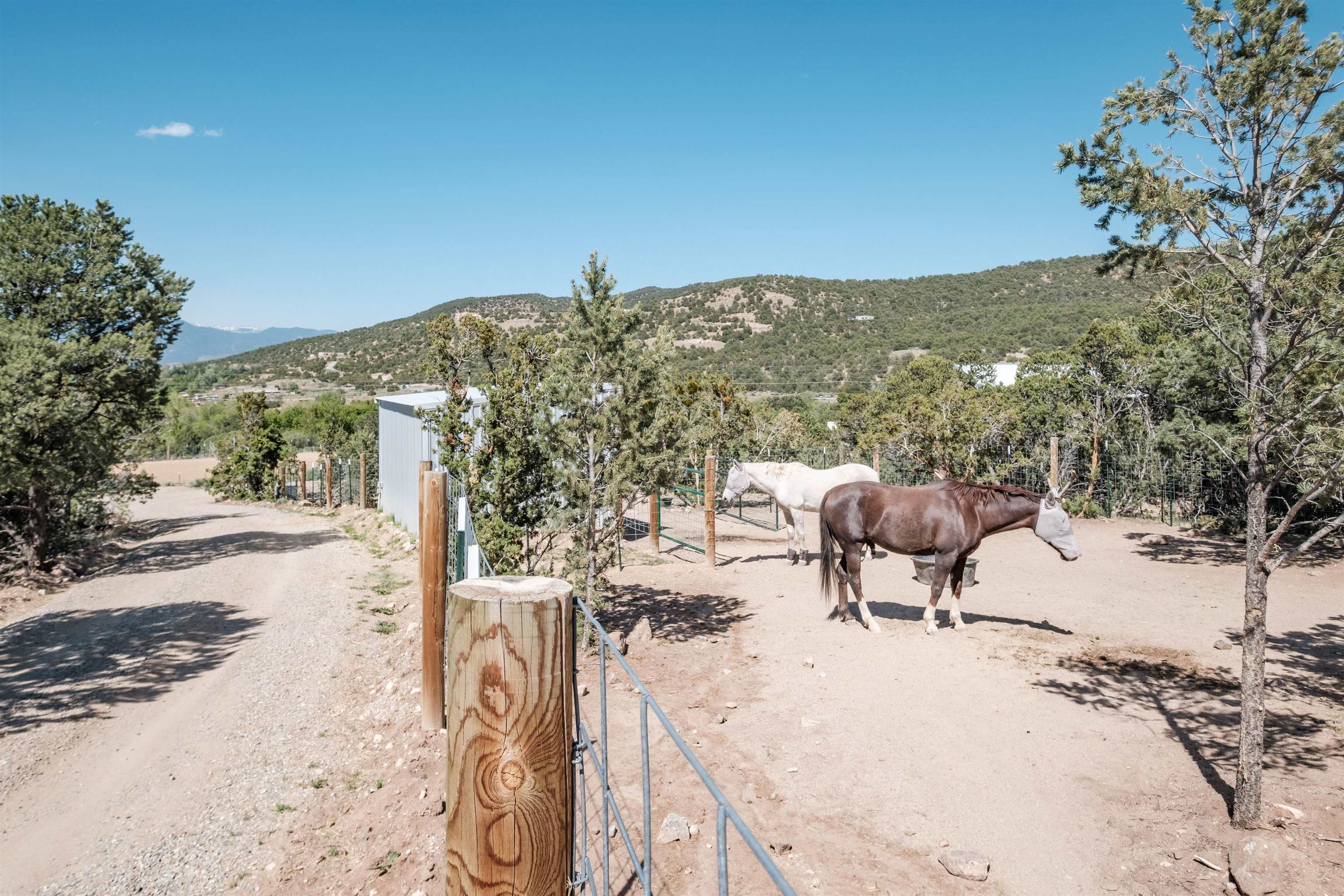 7018 State Road 518, Ranchos de Taos, New Mexico image 45