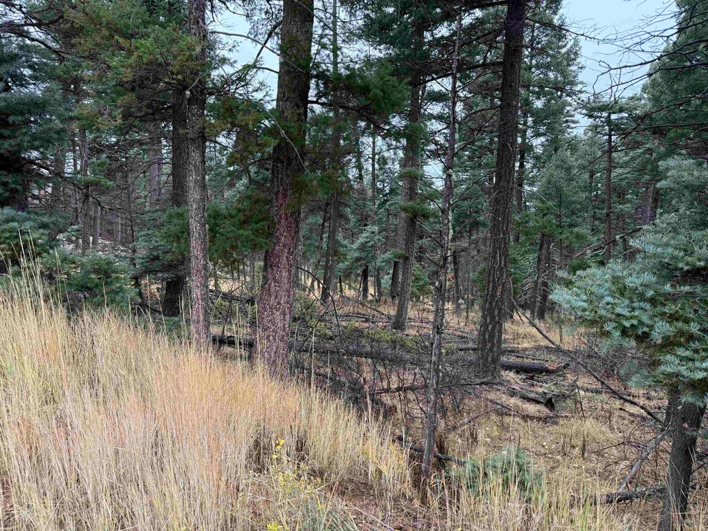 Photo of Lot 181 Taos Pl, Angel Fire, NM 87710 (MLS # 114254)