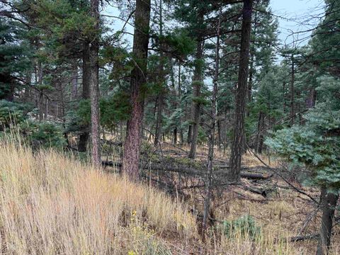 Vacant Land For Sale - LOT 181 Taos Pl<br/> Angel Fire, NM 87710