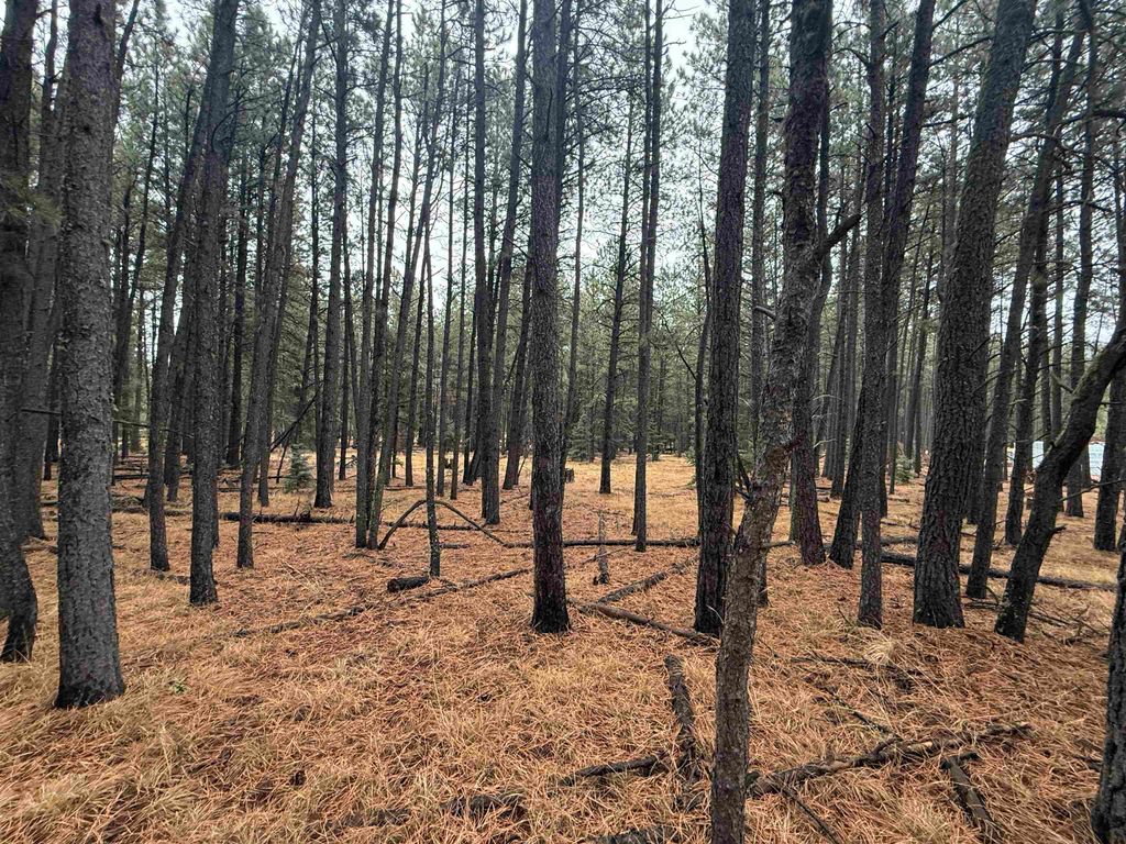 Photo of Lot 40 S Valle Grande Trl, Angel Fire, NM 87710 (MLS # 114310)
