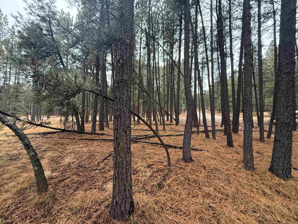 Photo of Lot 40 S Valle Grande Trl, Angel Fire, NM 87710 (MLS # 114310)