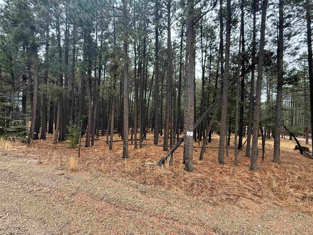 Photo of Lot 40 S Valle Grande Trl, Angel Fire, NM 87710 (MLS # 114310)