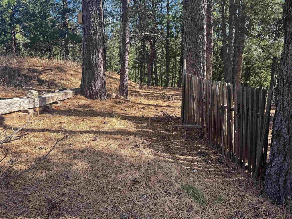 Photo of 91 Country Club Rd, Angel Fire, NM 87710 (MLS # 114701)