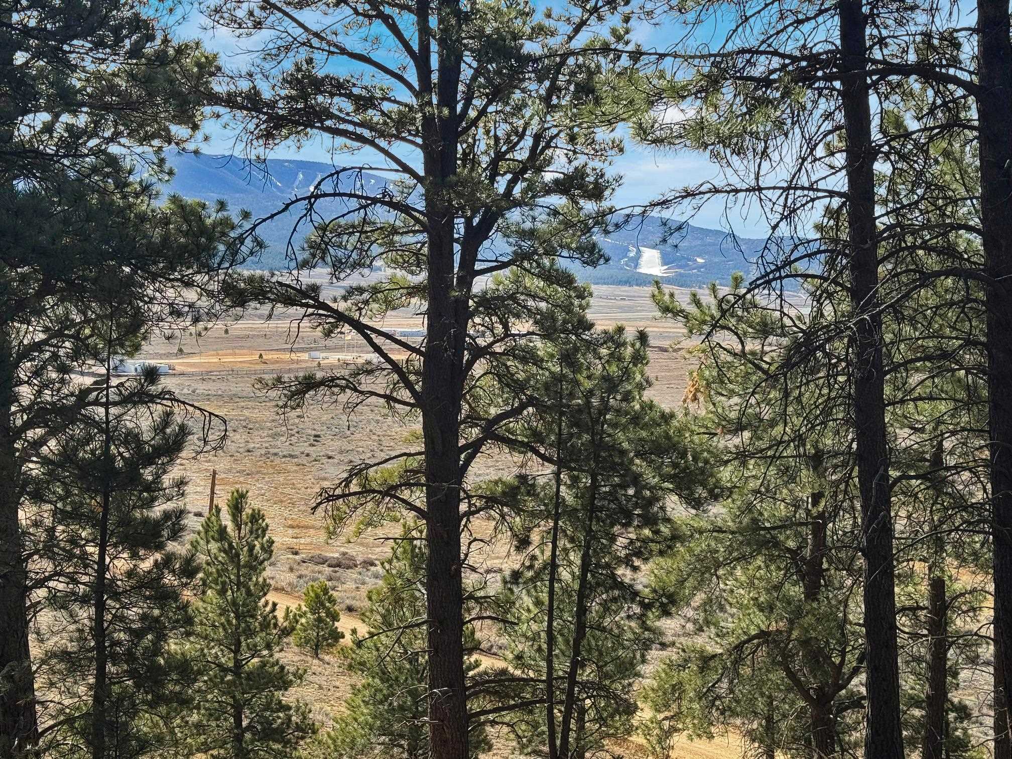None