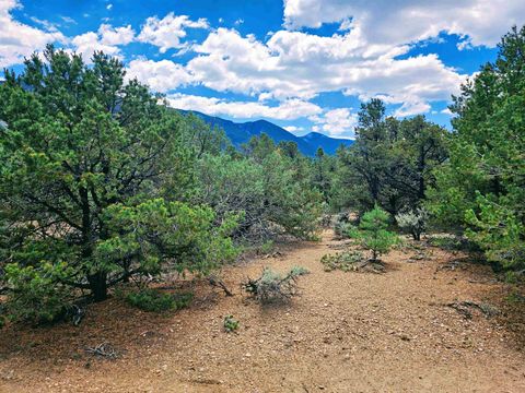 Vacant Land For Sale - TR A2 Alana Rd<br/> Questa, NM 87556