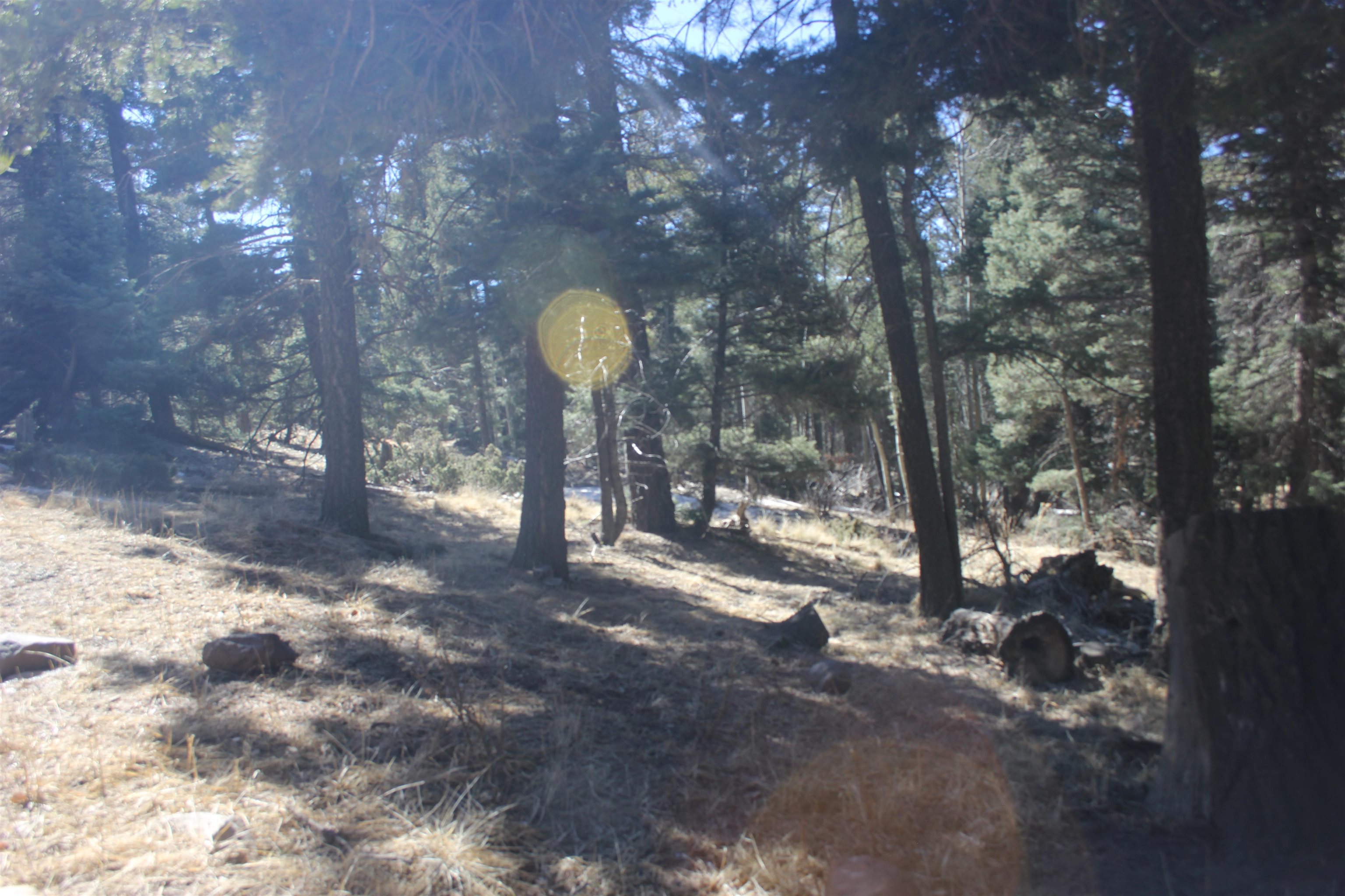 Lot 265 El Camino Real, Angel Fire, New Mexico image 17