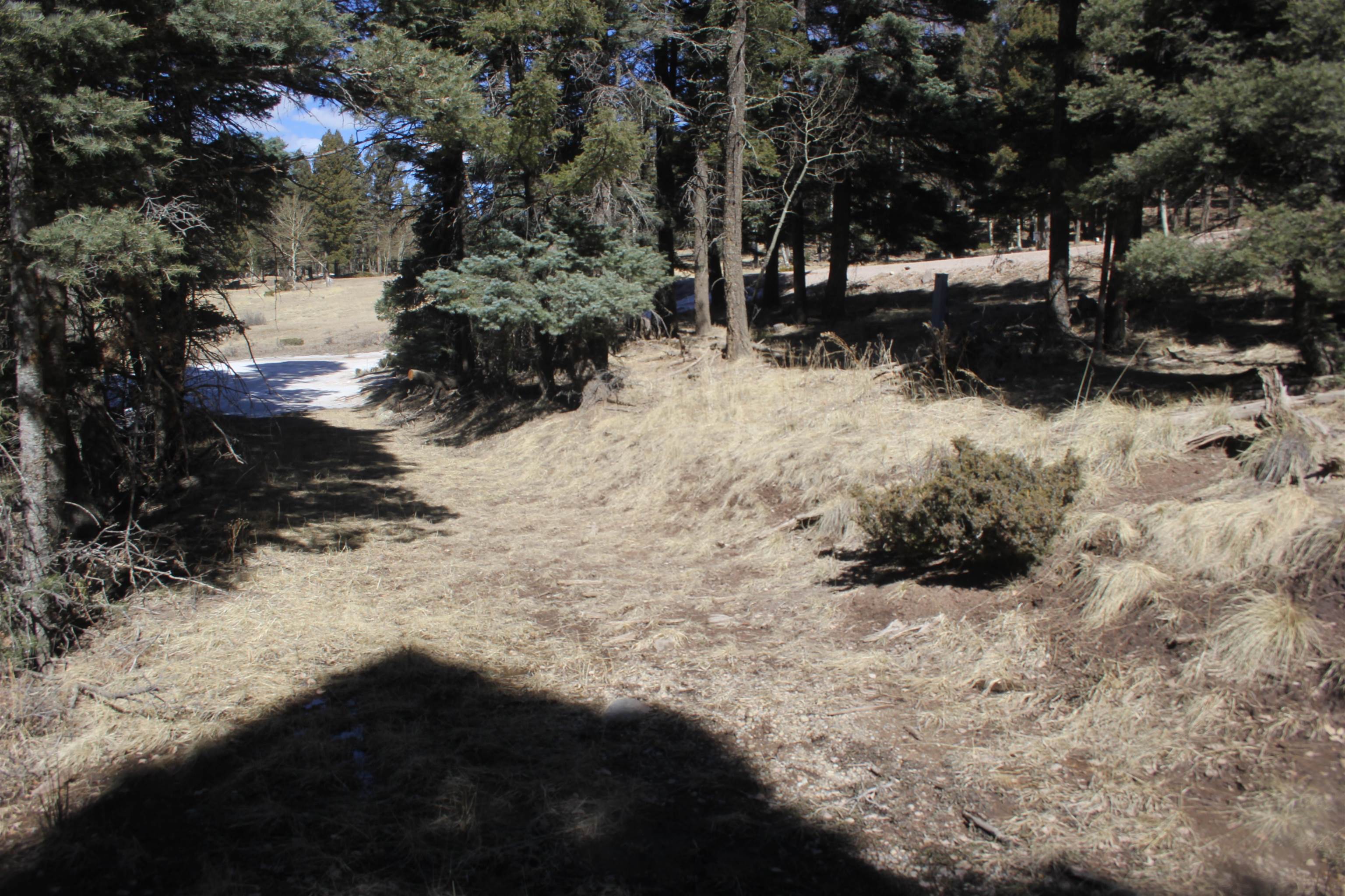 Lot 265 El Camino Real, Angel Fire, New Mexico image 3