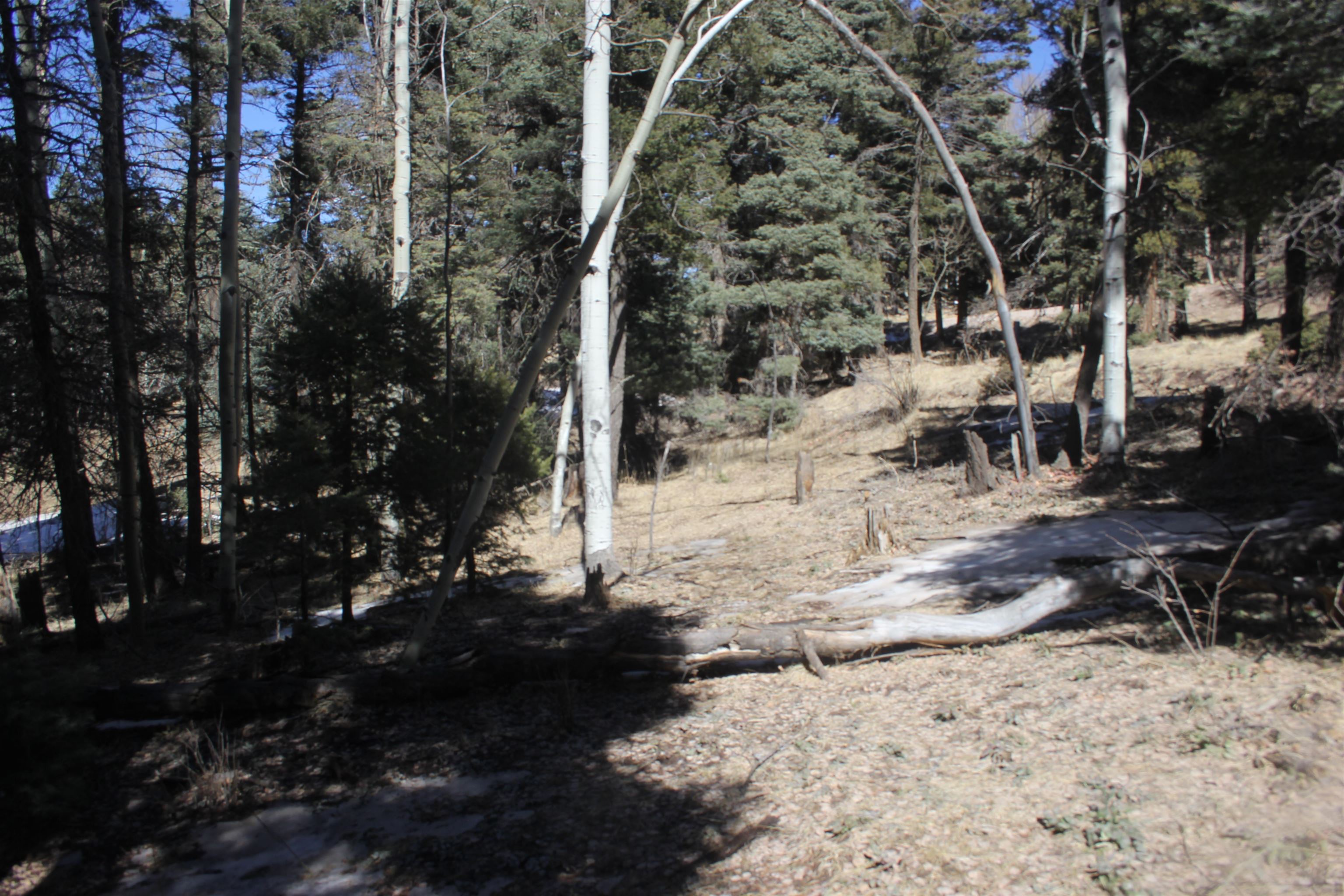 Lot 265 El Camino Real, Angel Fire, New Mexico image 15