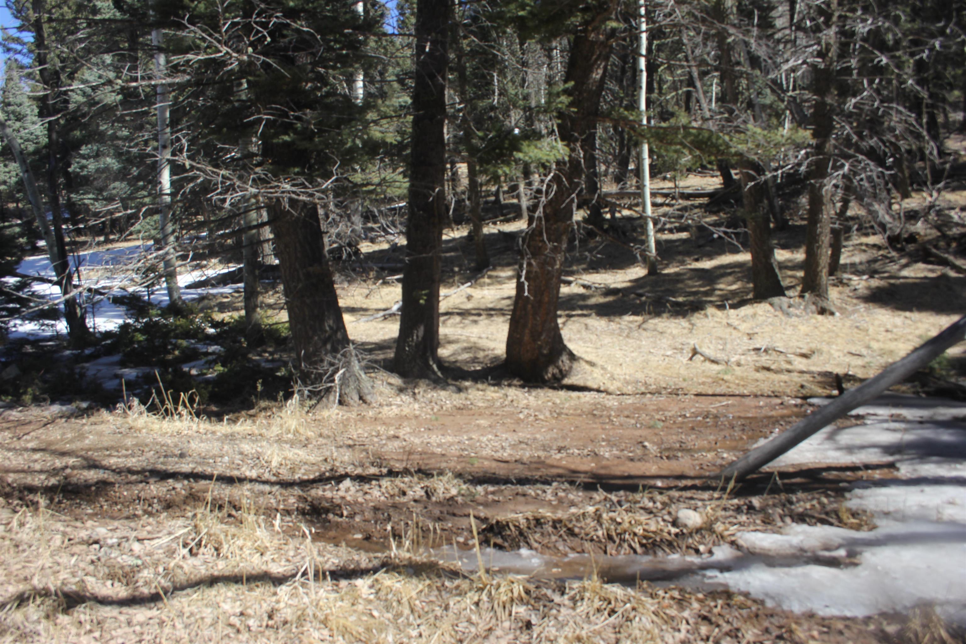 Lot 265 El Camino Real, Angel Fire, New Mexico image 12