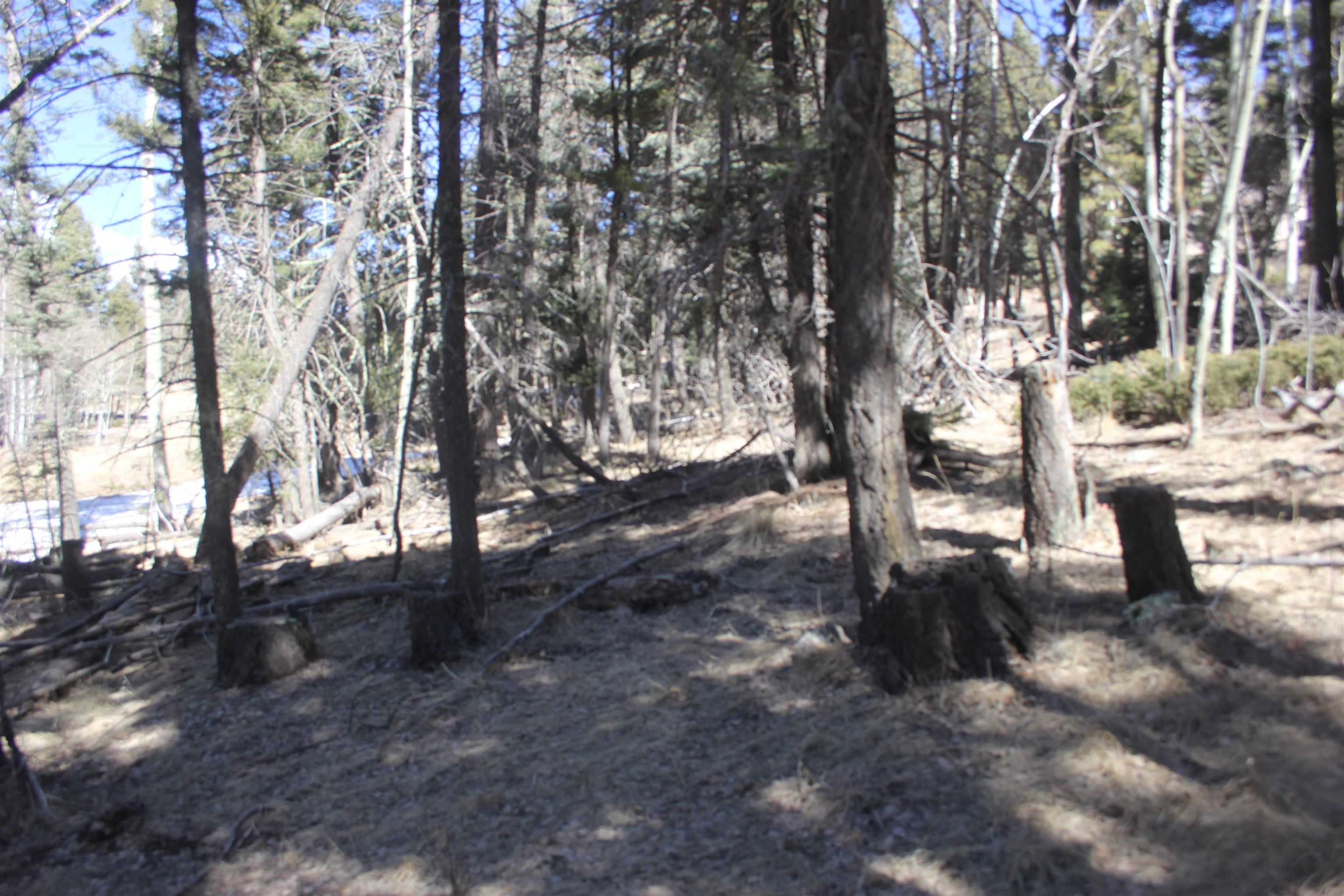 Lot 265 El Camino Real, Angel Fire, New Mexico image 14