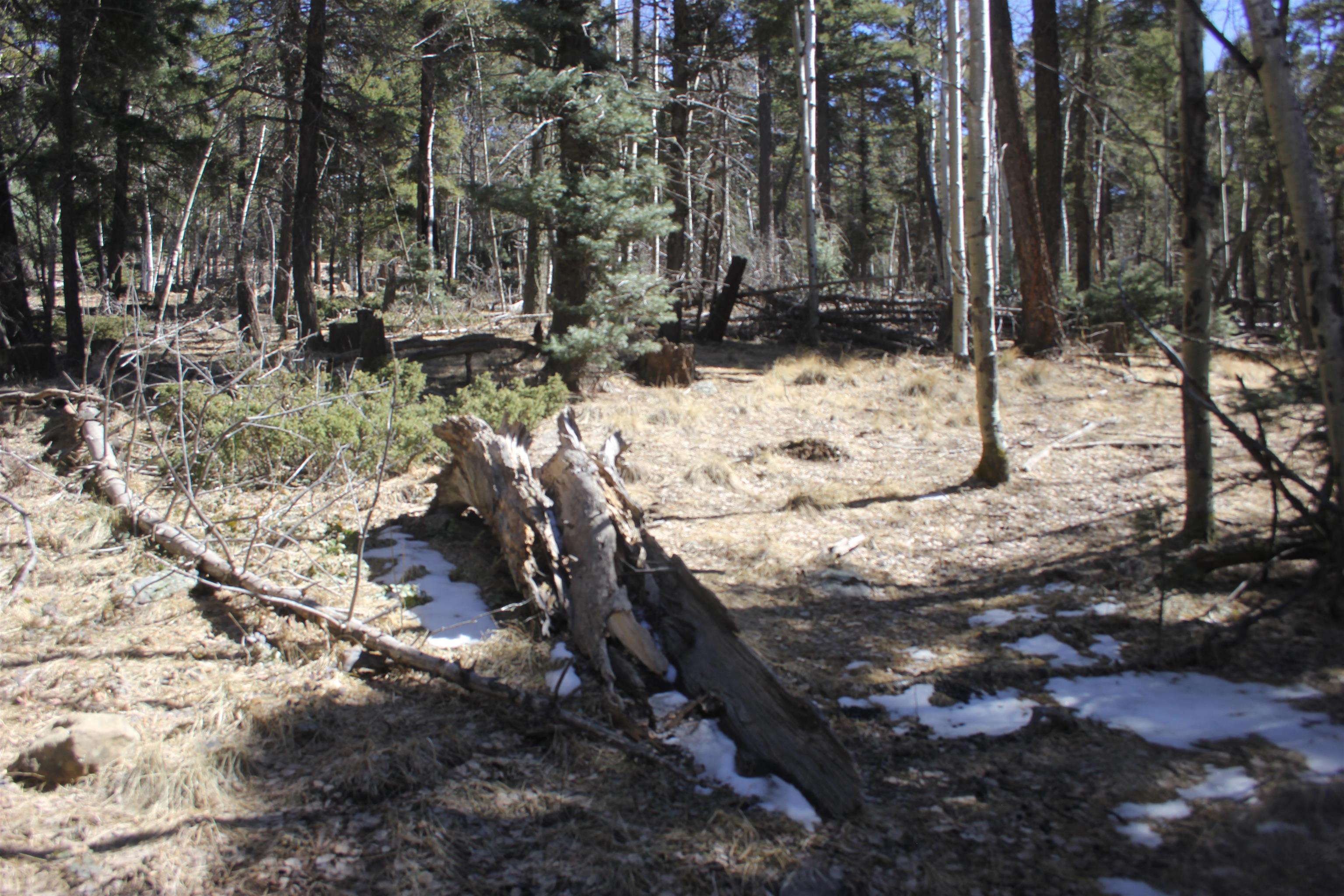 Lot 265 El Camino Real, Angel Fire, New Mexico image 13