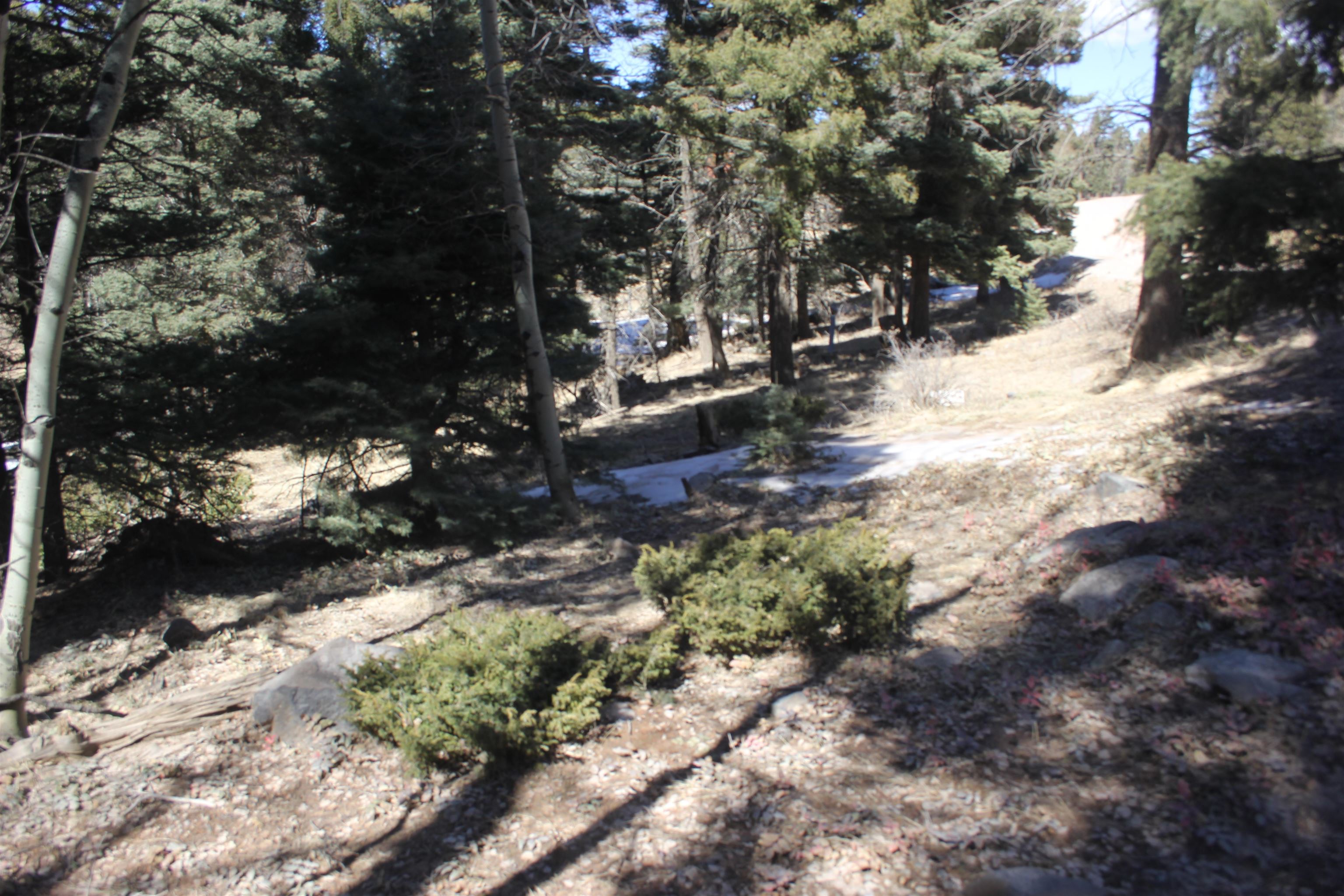 Lot 265 El Camino Real, Angel Fire, New Mexico image 16