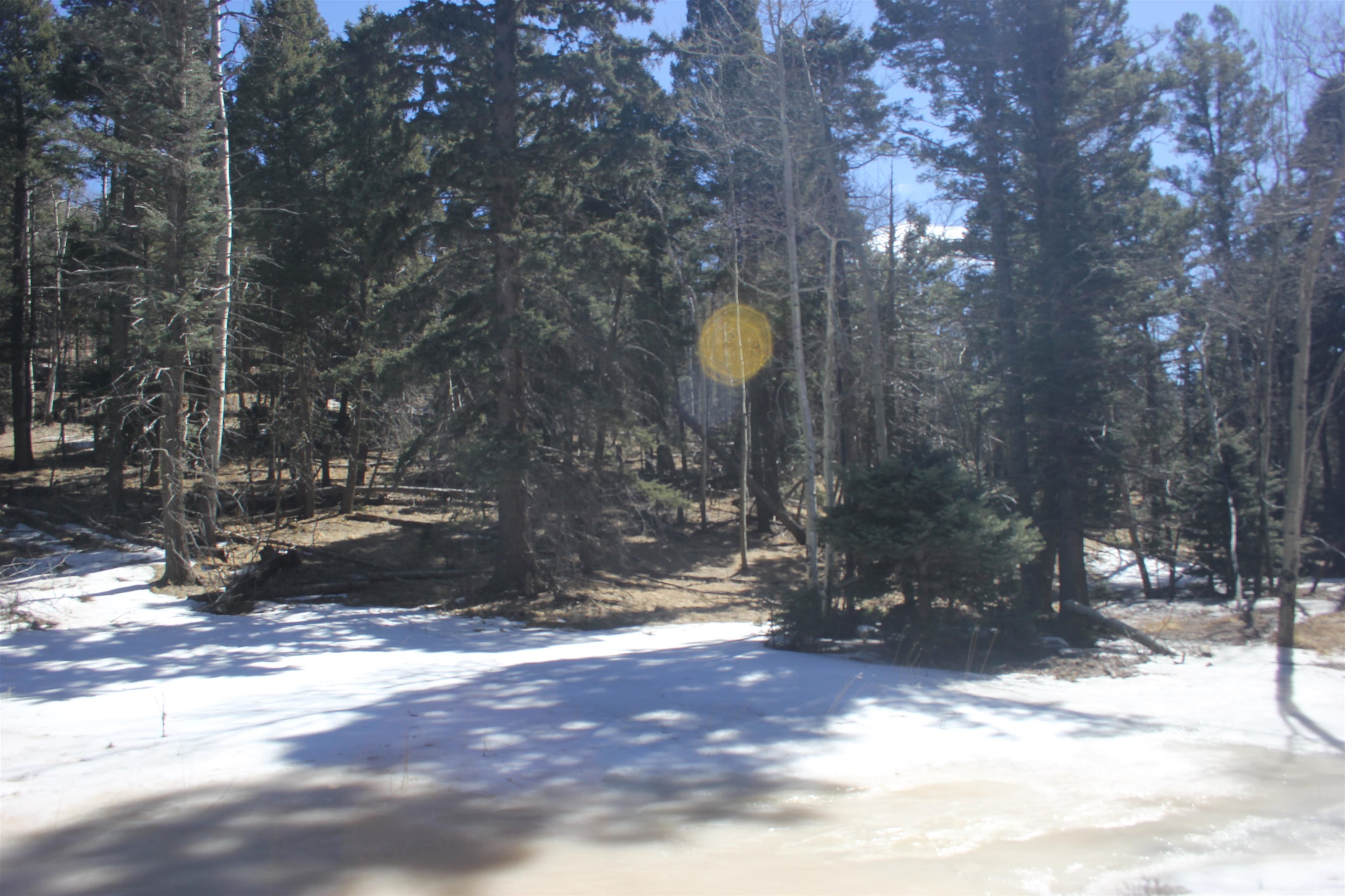 Lot 265 El Camino Real, Angel Fire, New Mexico image 9