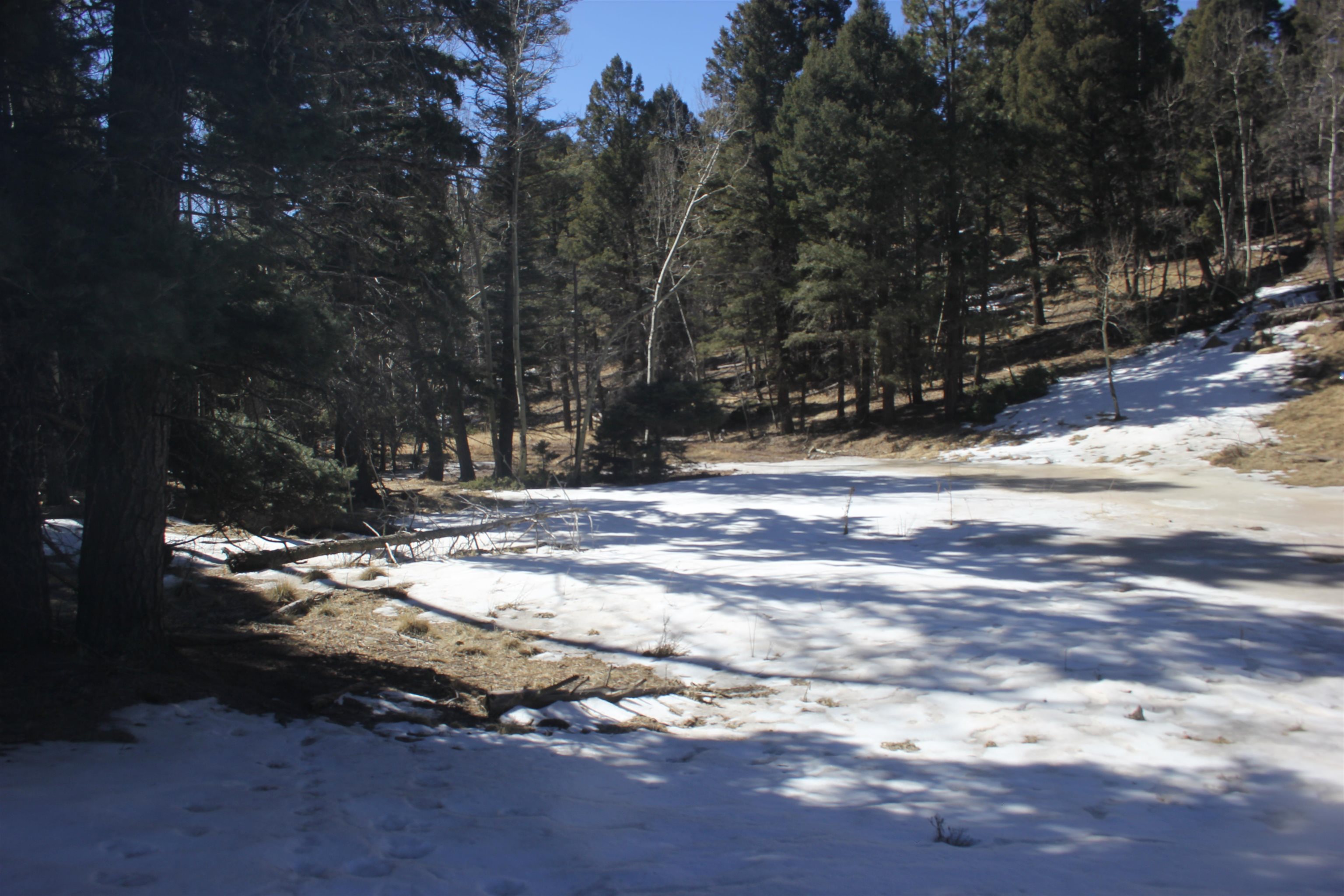 Lot 265 El Camino Real, Angel Fire, New Mexico image 7
