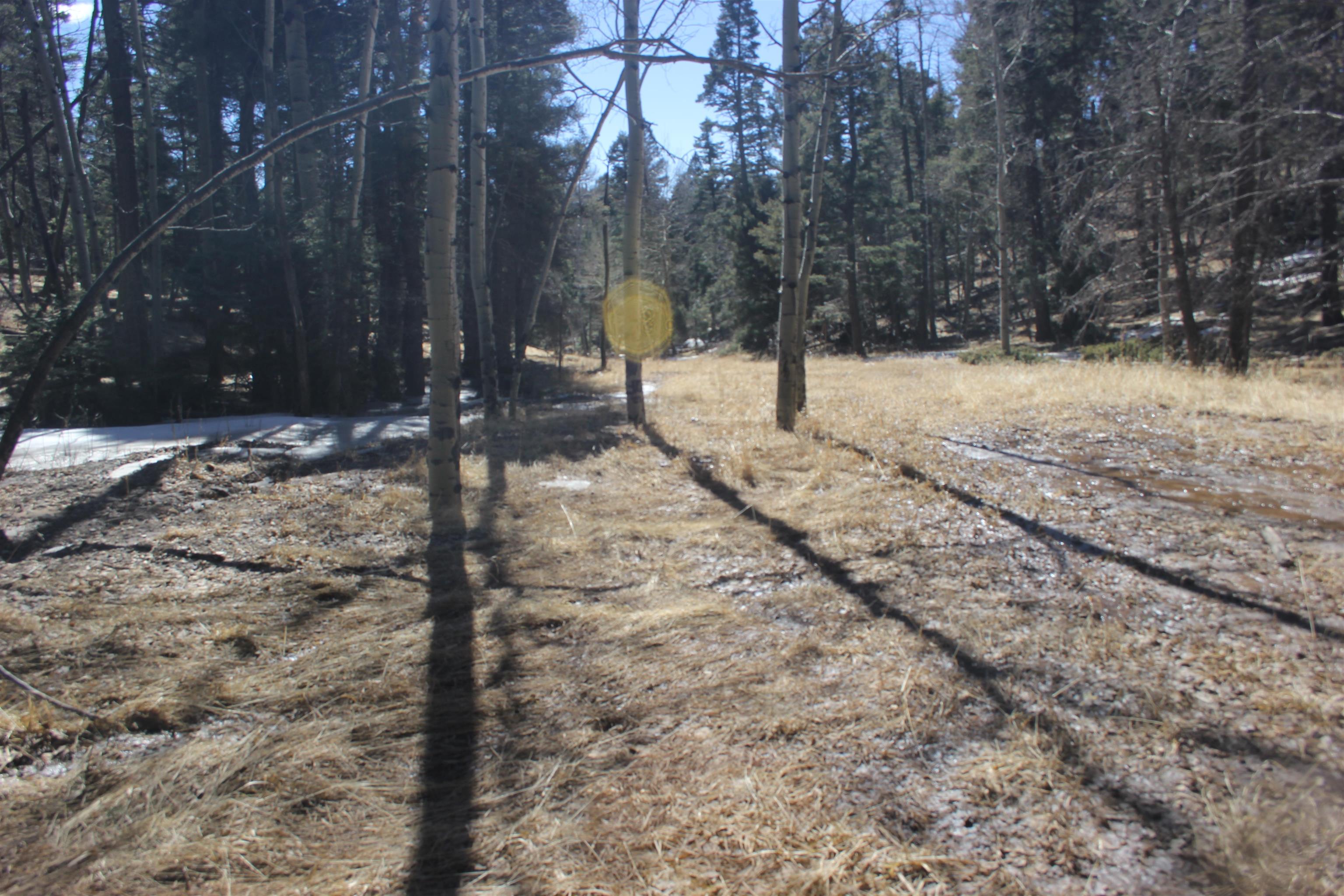 Lot 265 El Camino Real, Angel Fire, New Mexico image 11