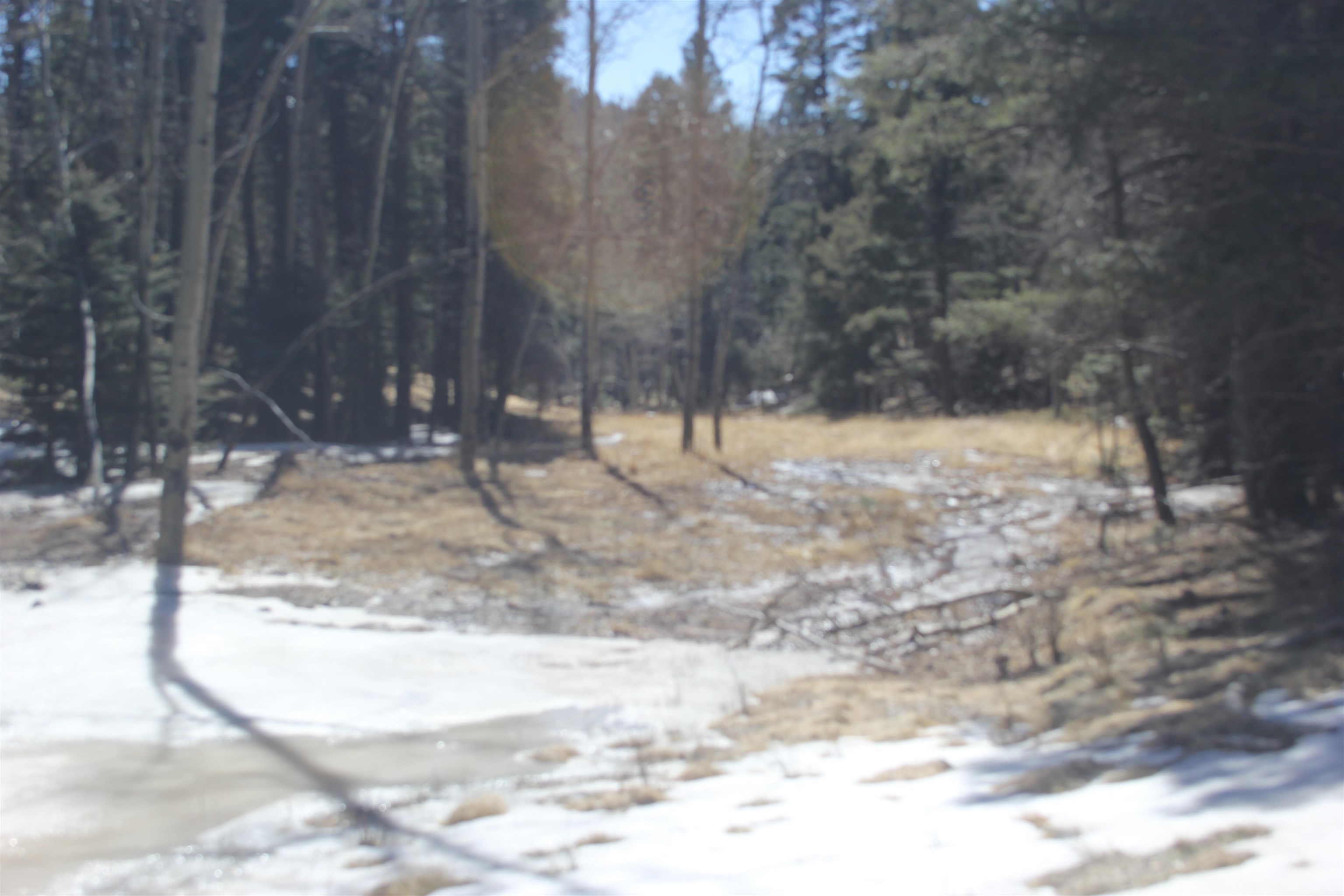 Lot 265 El Camino Real, Angel Fire, New Mexico image 8