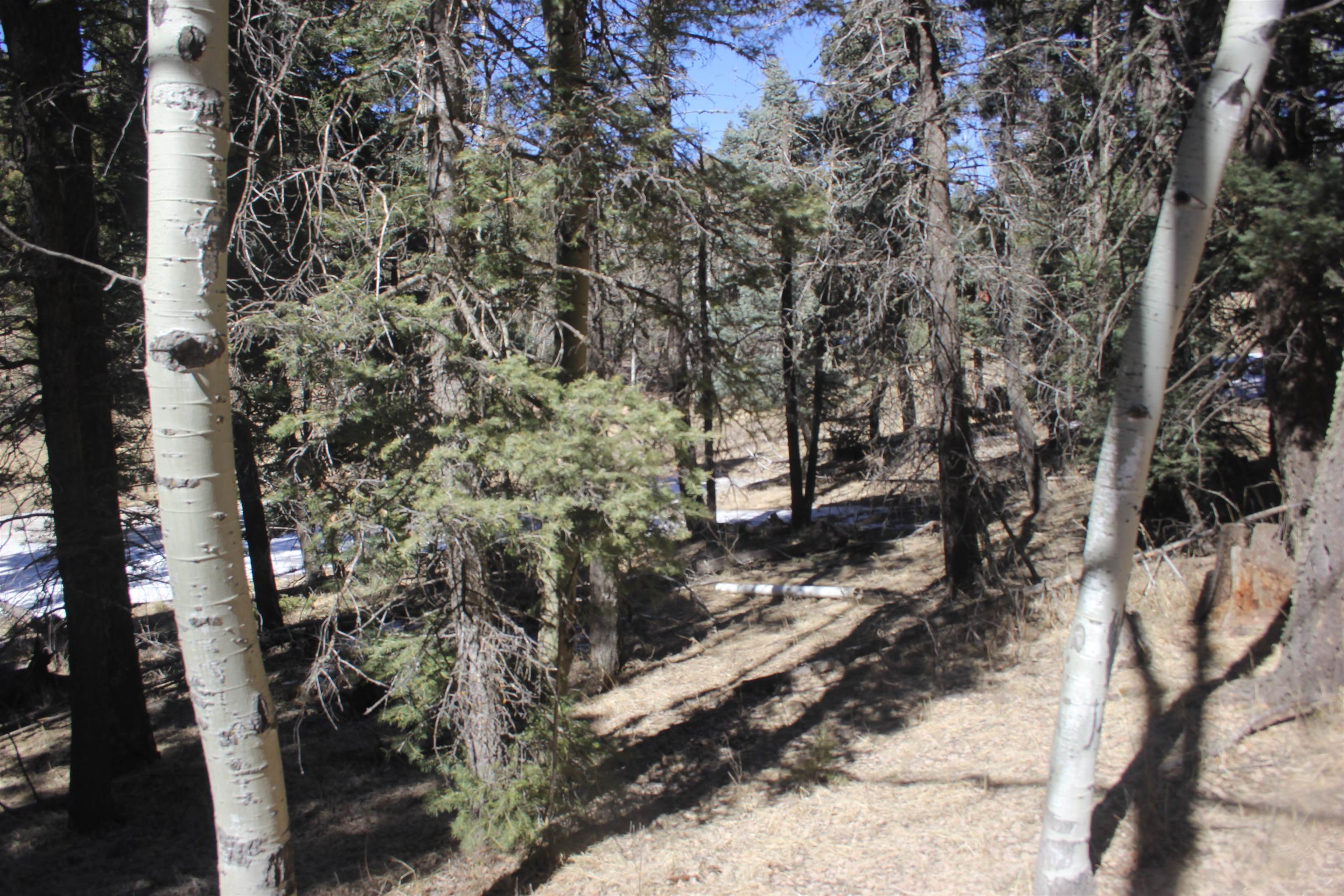 Lot 265 El Camino Real, Angel Fire, New Mexico image 5