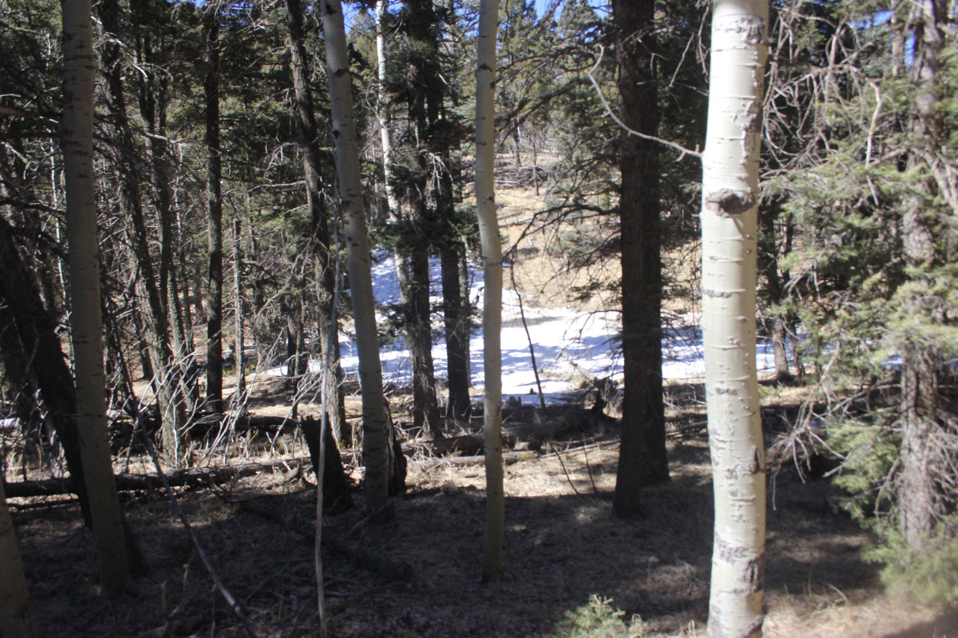 Lot 265 El Camino Real, Angel Fire, New Mexico image 6