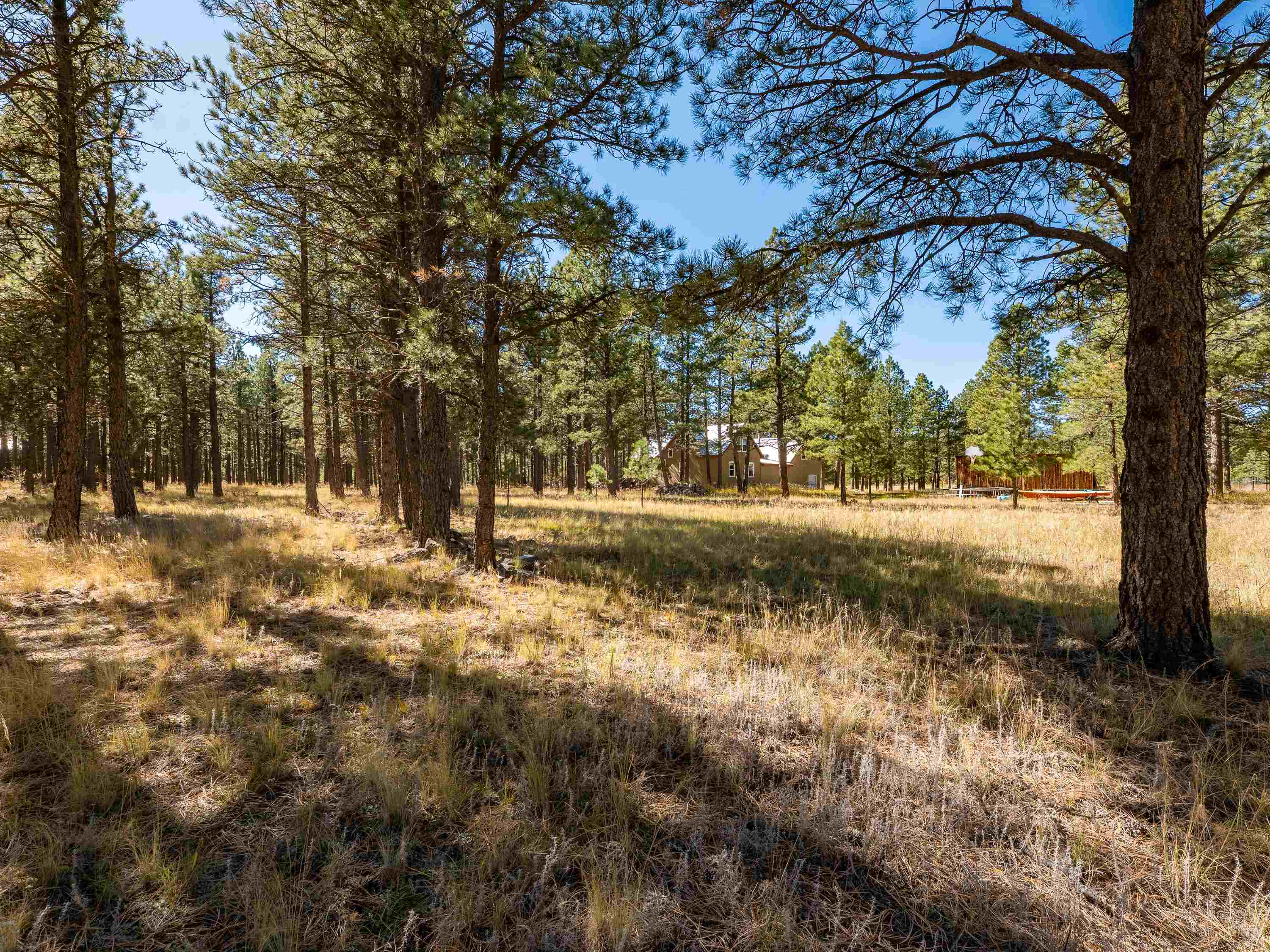 Angel Fire, New Mexico 87710, United States, 3 Bedrooms Bedrooms, ,2 BathroomsBathrooms,Residential,Active,233598