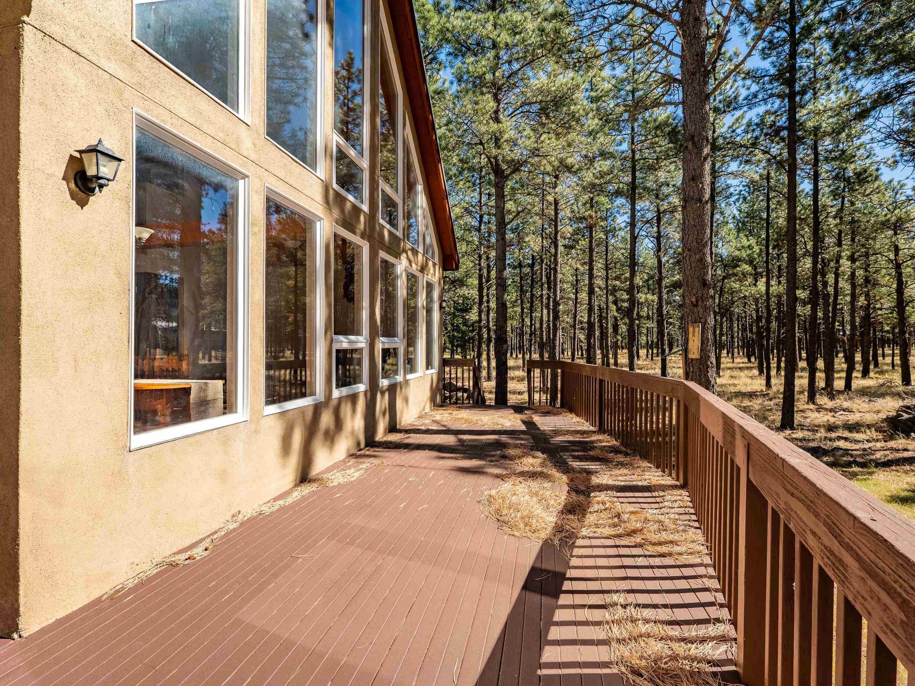 Angel Fire, New Mexico 87710, United States, 3 Bedrooms Bedrooms, ,2 BathroomsBathrooms,Residential,Active,233598