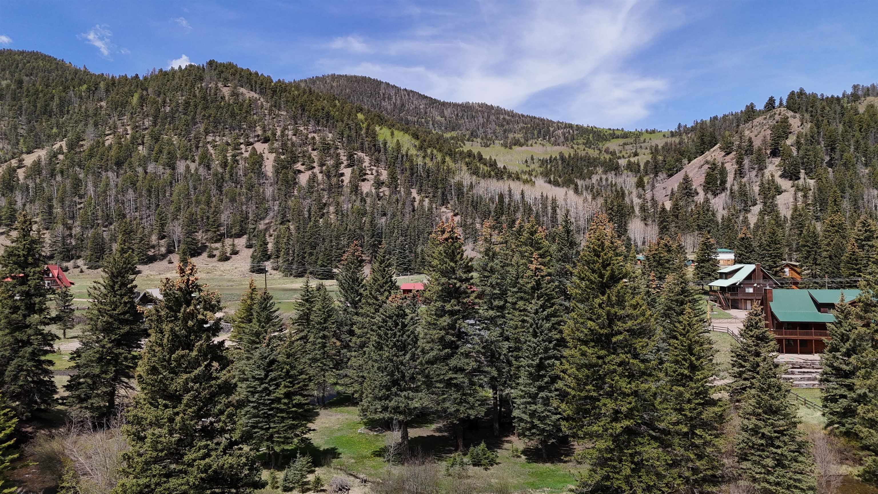 26 Valley Of The Pines Rd, Red River, New Mexico image 8
