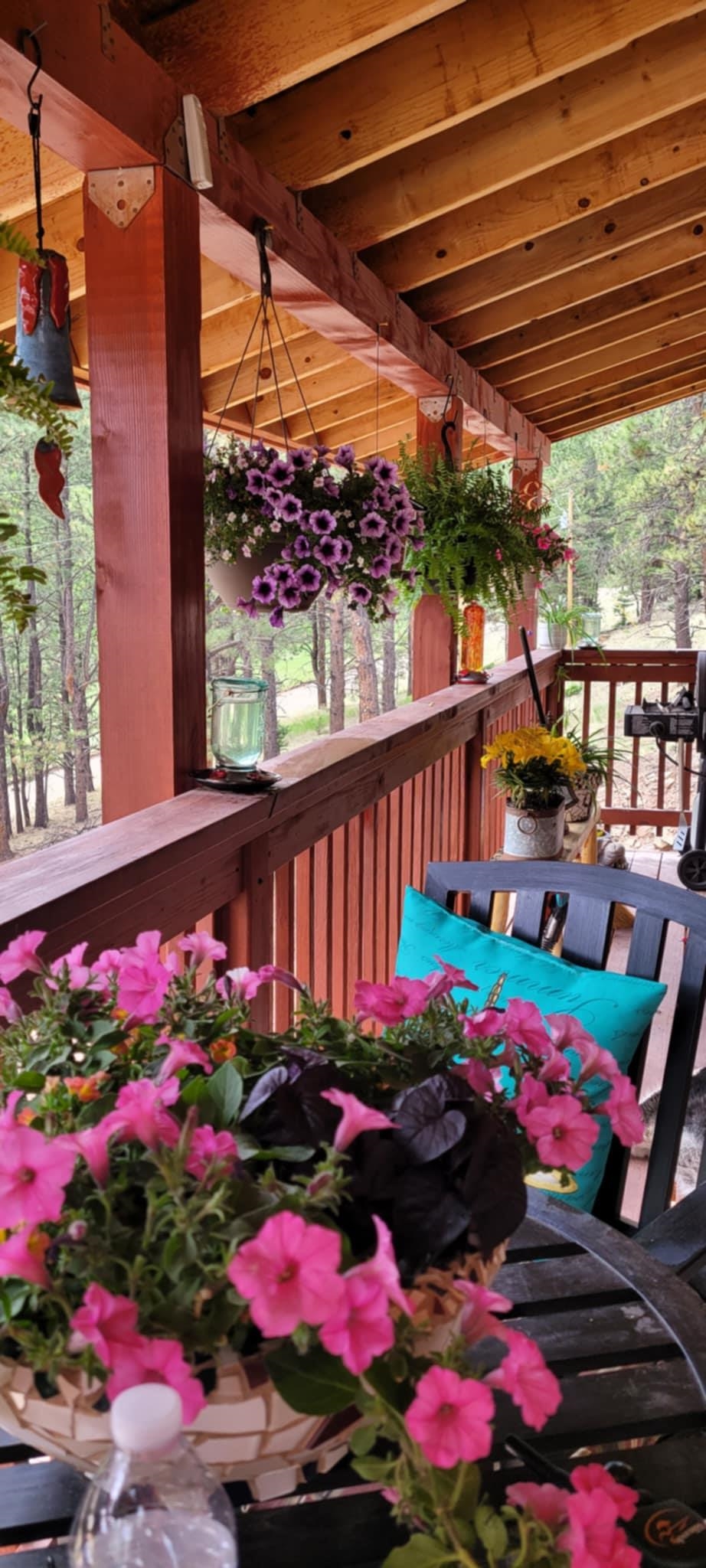 298 State Road 127, Eagle Nest, New Mexico image 15
