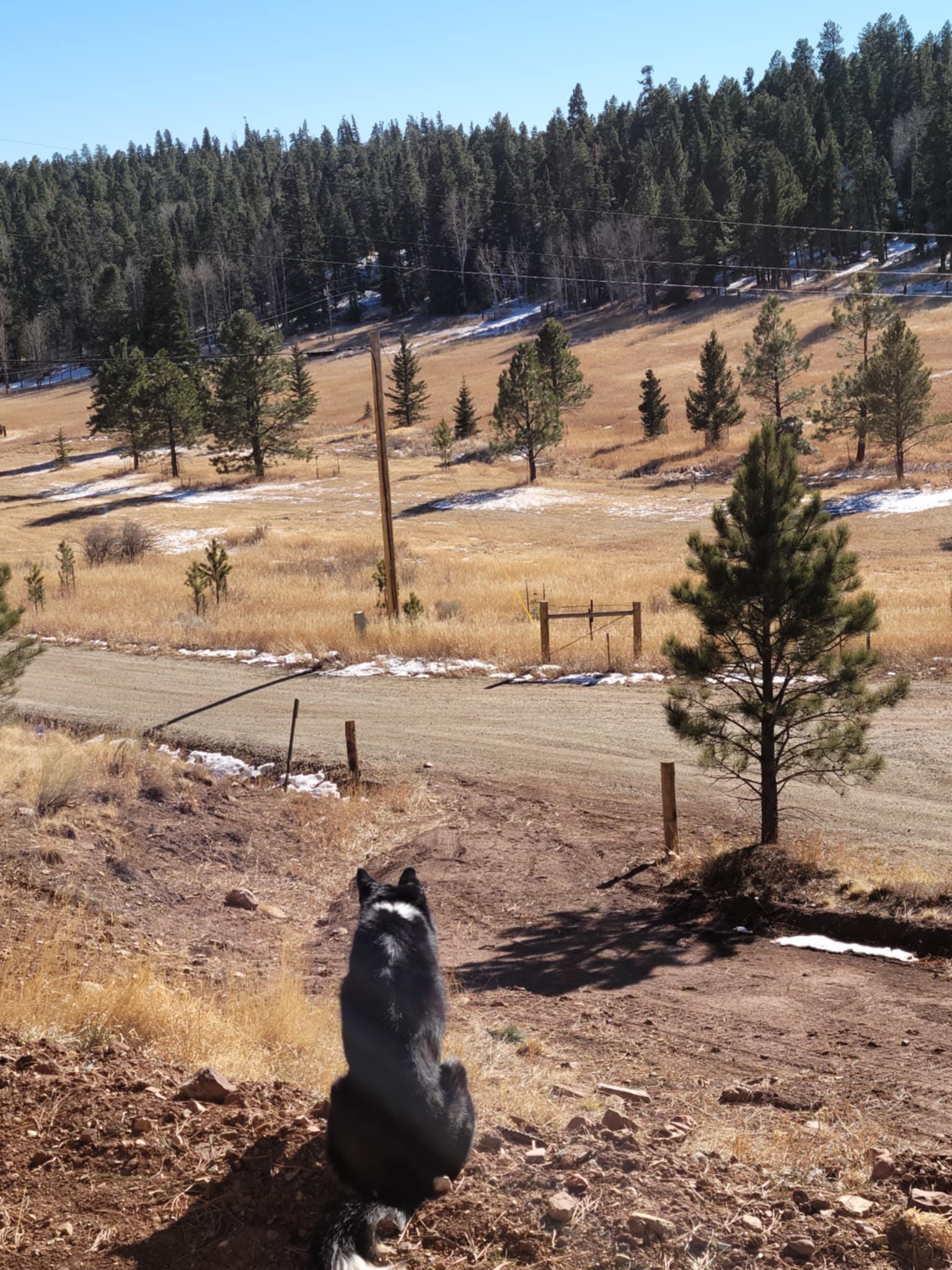 298 State Road 127, Eagle Nest, New Mexico image 16