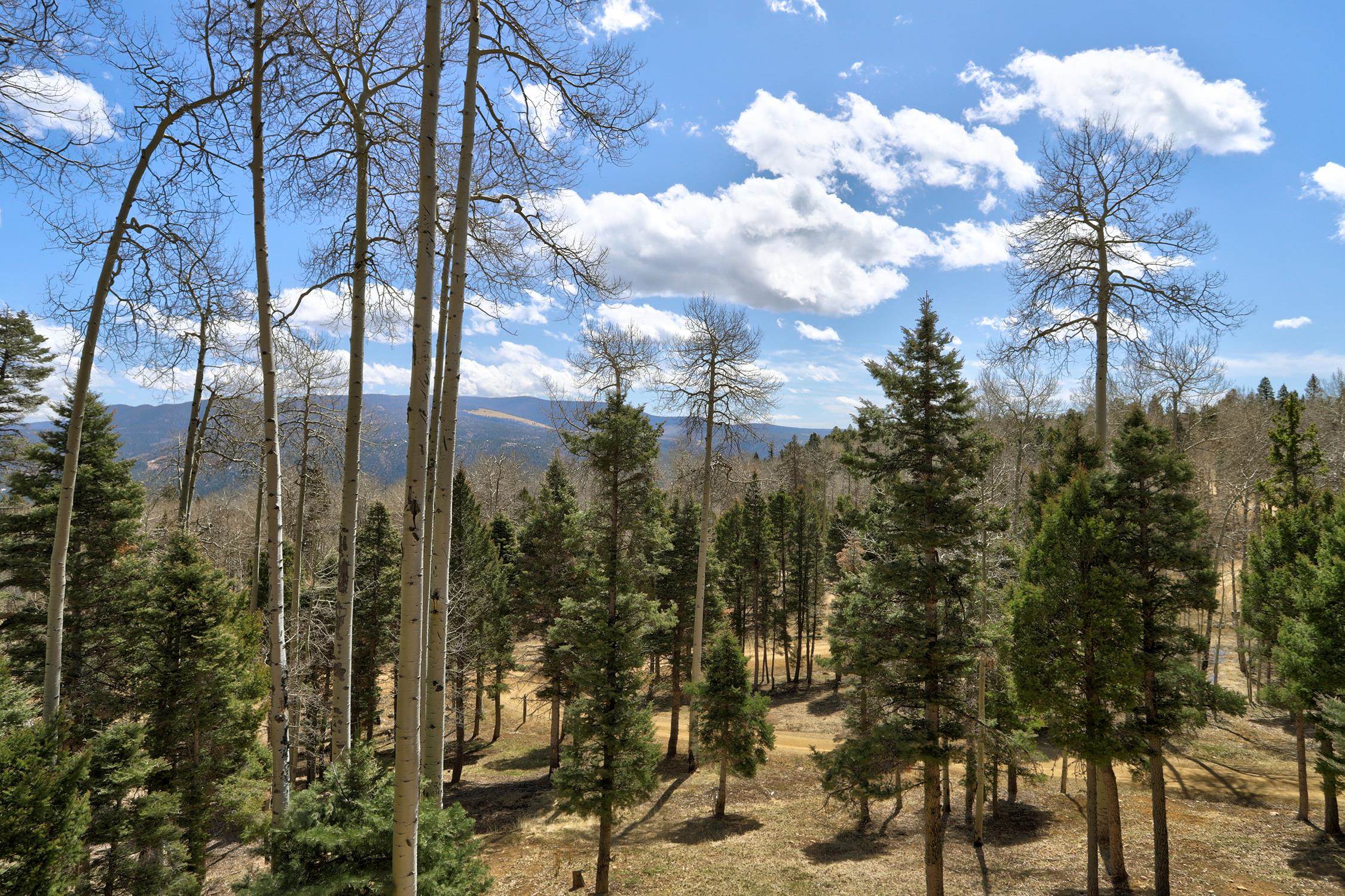 50 Via De Maria, Angel Fire, New Mexico image 16