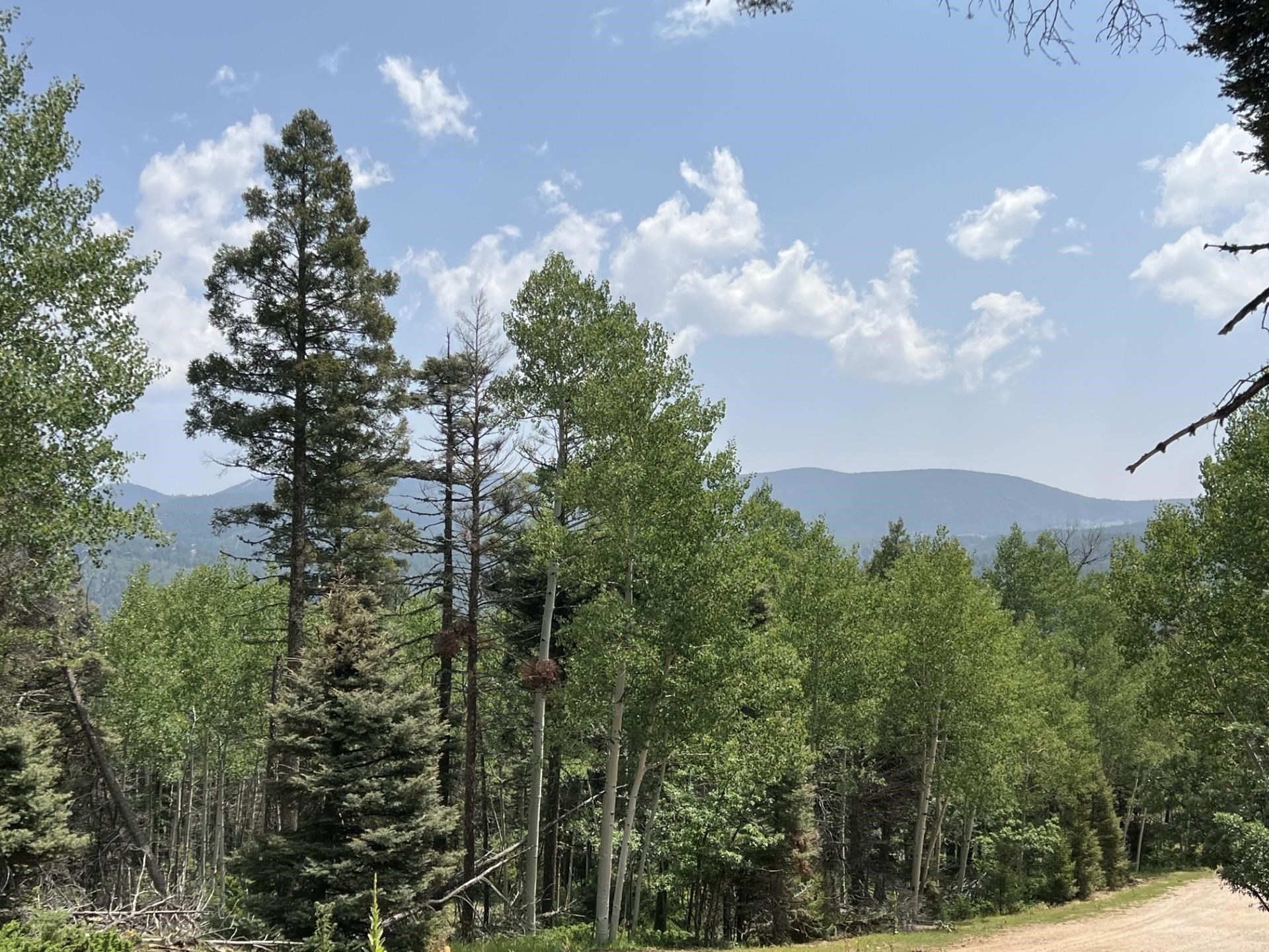 Lot 198A Taos Dr, Angel Fire, New Mexico image 1