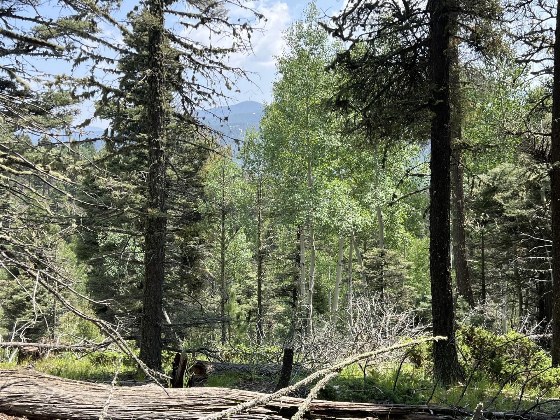 Lot 198A Taos Dr, Angel Fire, New Mexico image 6