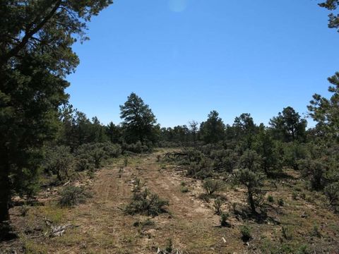 Vacant Land For Sale - 38 Servilleta Lot 38<br/> Tres Piedras, NM 87577