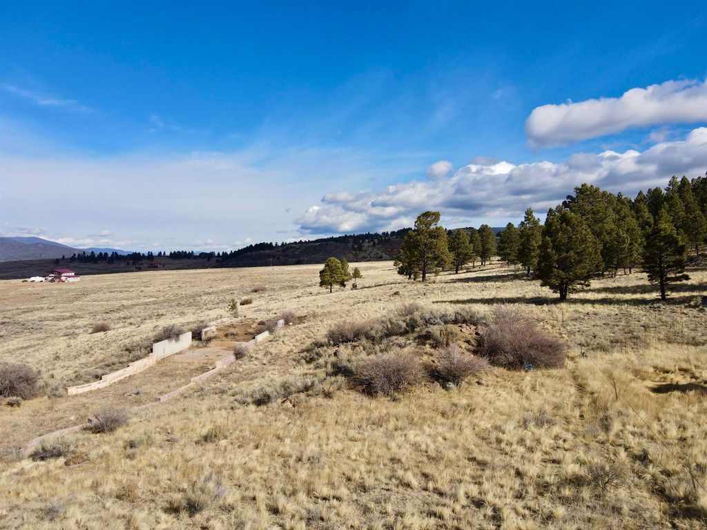 Photo of 14 Acres Off Camino Grande Road, Angel Fire, NM 87710 (MLS # 114695)