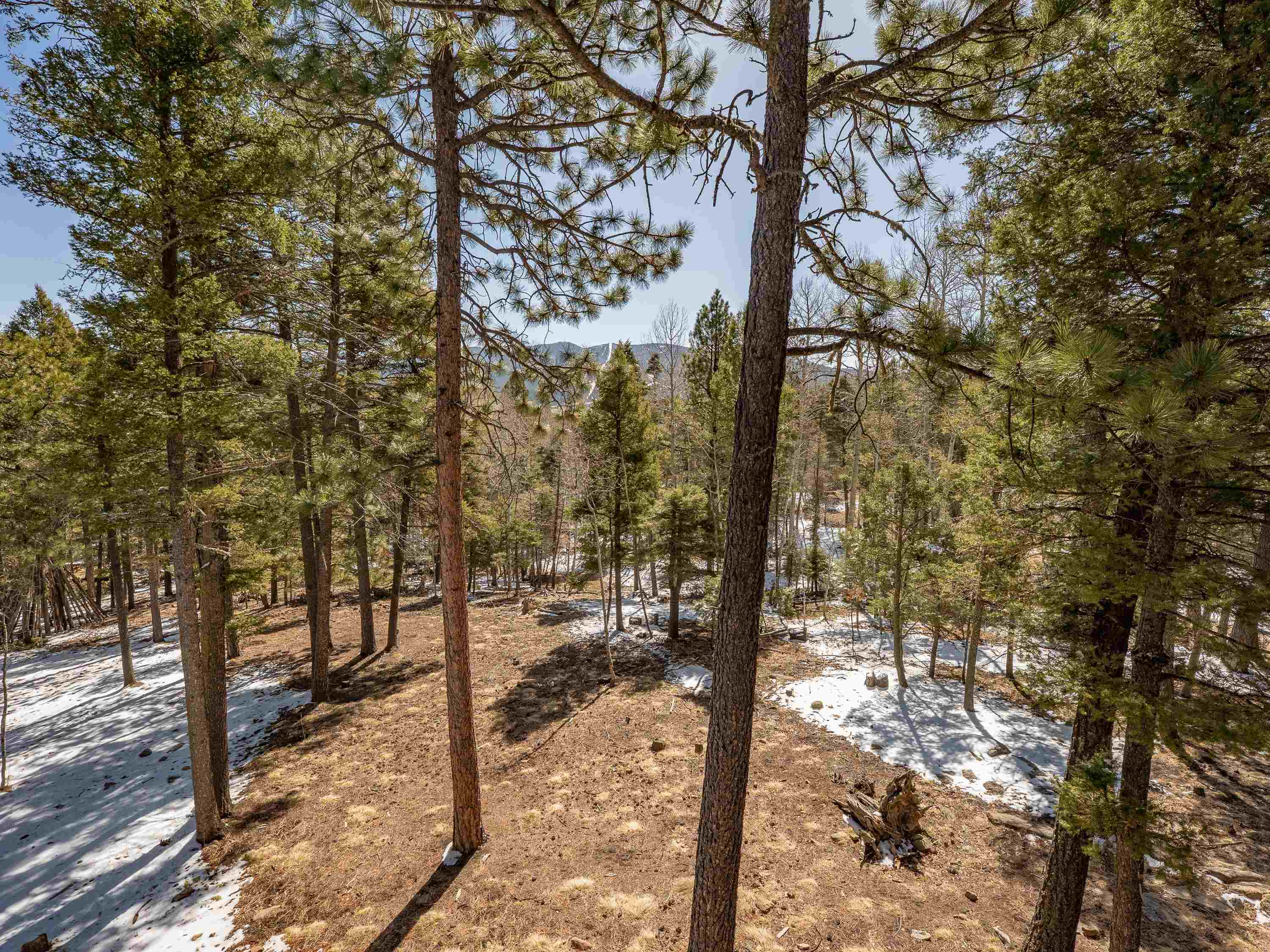 526 Via Del Rey, Angel Fire, New Mexico image 45