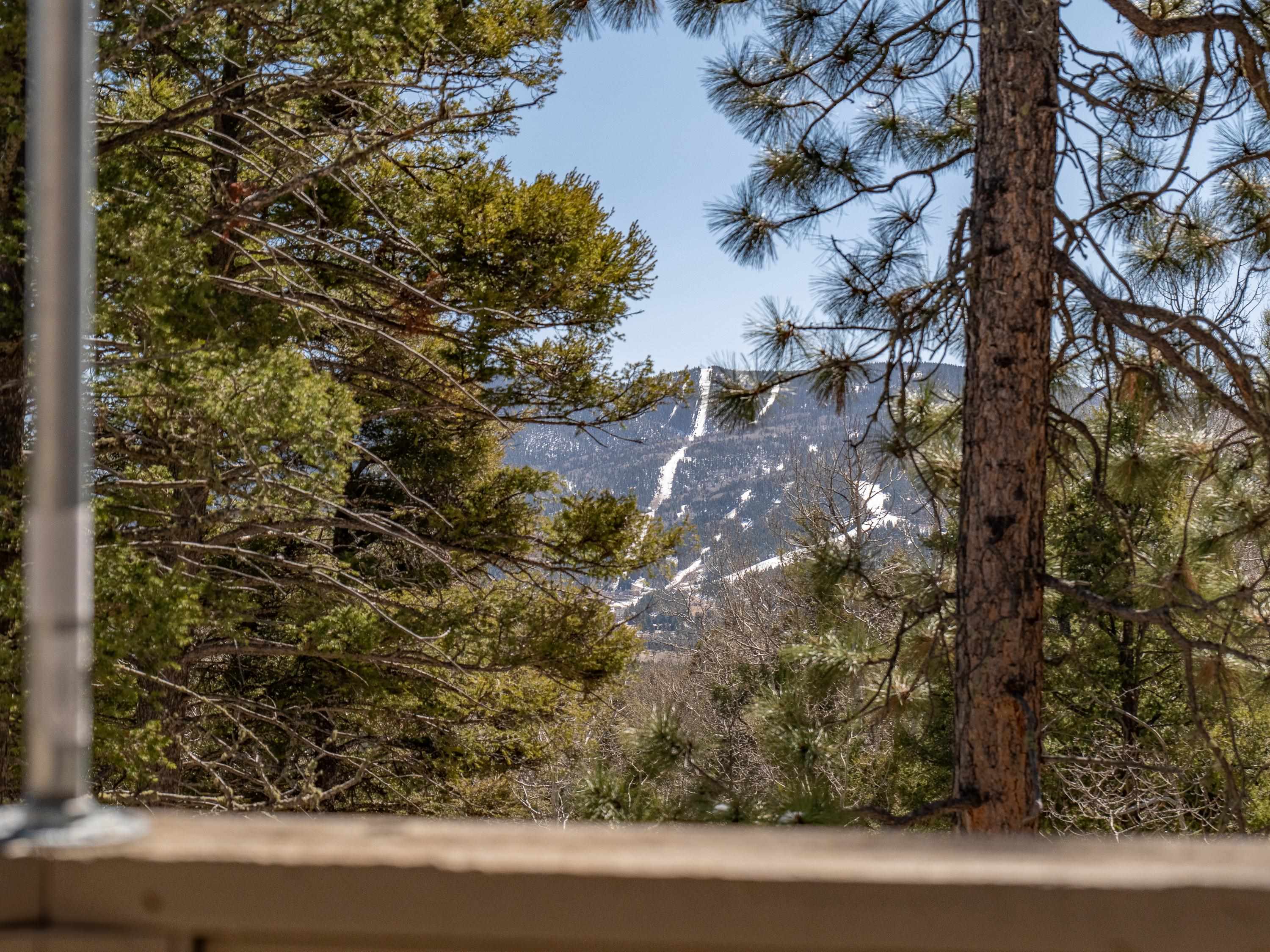 526 Via Del Rey, Angel Fire, New Mexico image 46