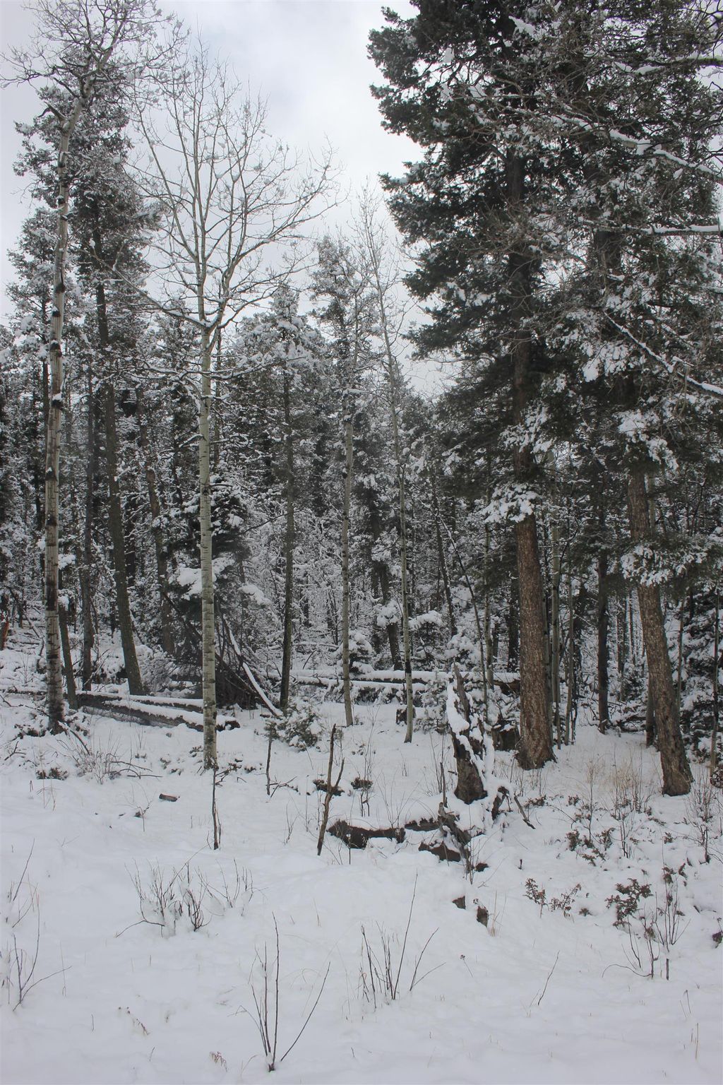 Photo of lot 684 El Camino Real, Angel Fire, NM 87710 (MLS # 114576)