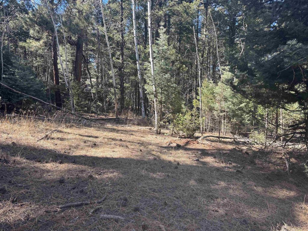 Photo of Lot 1031 Armijo, Angel Fire, NM 87710 (MLS # 114665)