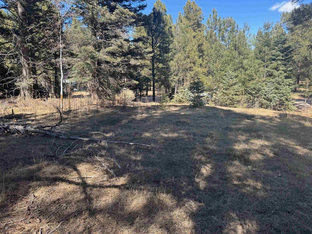 Photo of Lot 1031 Armijo, Angel Fire, NM 87710 (MLS # 114665)