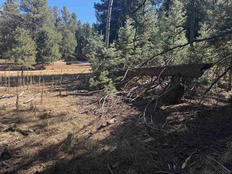 Vacant Land For Sale - LOT 1031 Armijo<br/> Angel Fire, NM 87710