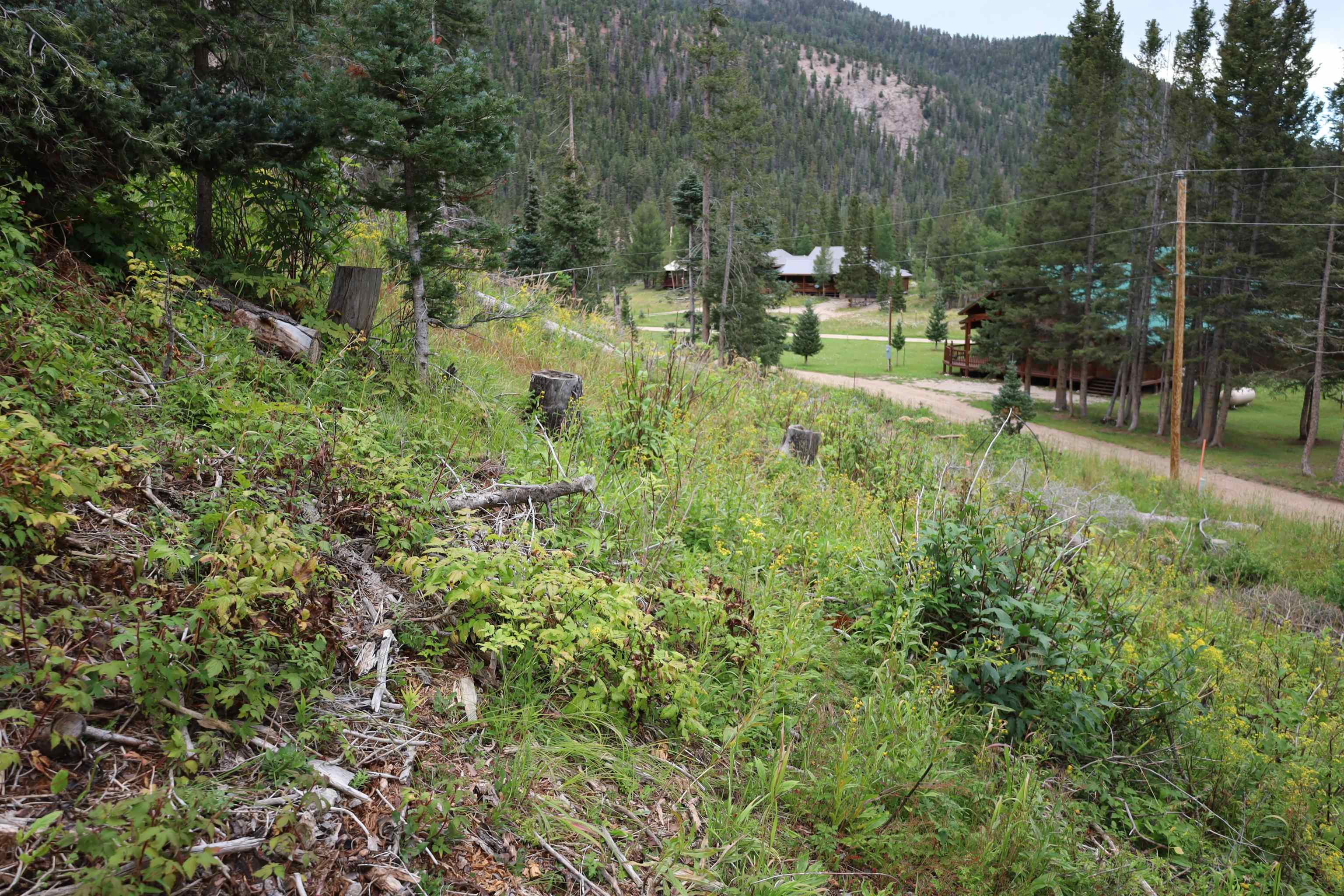 Hidden Valley Rd, Red River, New Mexico image 3