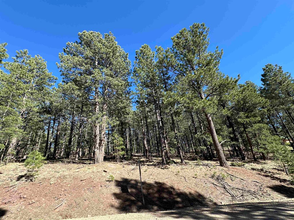 Photo of Back Basin Road, Angel Fire, NM 87710 (MLS # 113597)