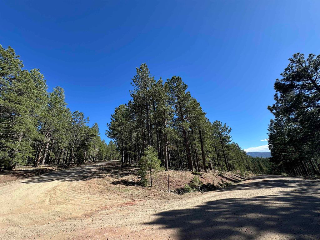 Photo of Back Basin Road, Angel Fire, NM 87710 (MLS # 113597)