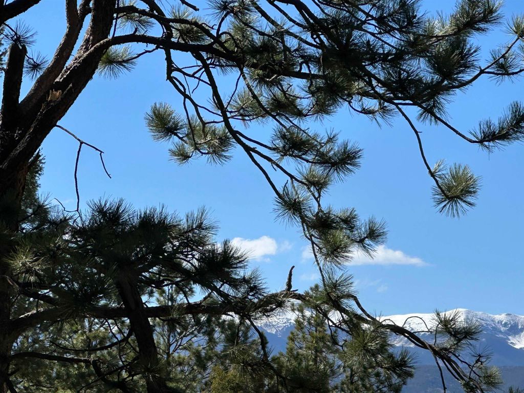 Photo of Back Basin Road, Angel Fire, NM 87710 (MLS # 113597)