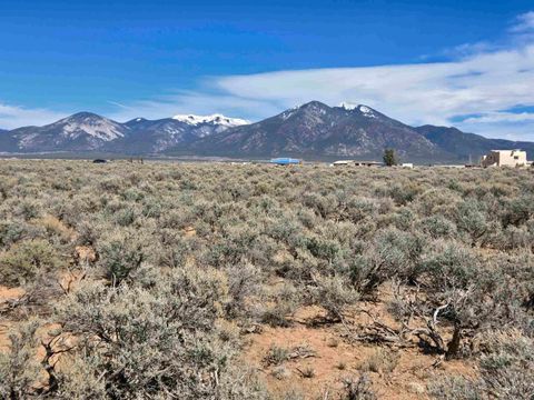 Vacant Land For Sale - TR E6 Parcel 8 Santistevan Road<br/> El Prado, NM 87529