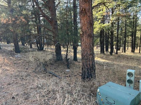 Vacant Land For Sale - LOT 14 Jackson Hole Rd<br/> Angel Fire, NM 87710