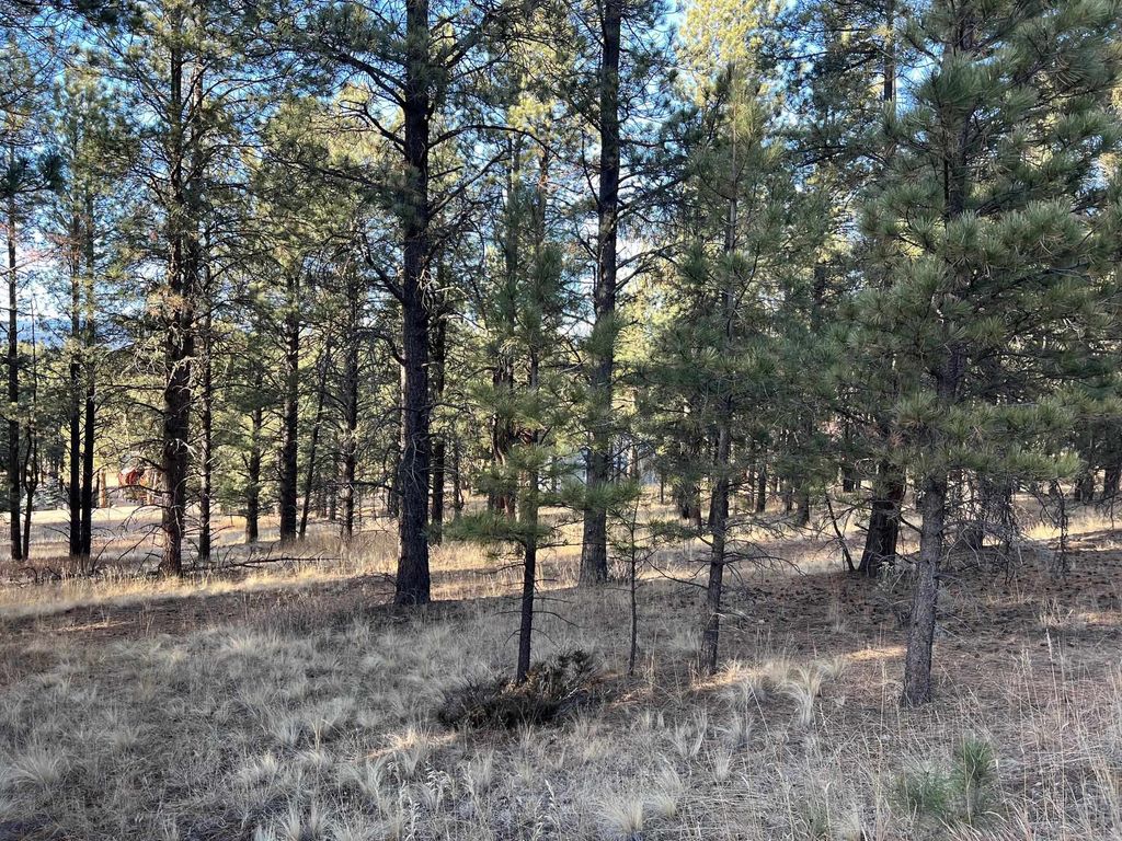 Photo of lot 14 Jackson Hole Rd, Angel Fire, NM 87710 (MLS # 114420)