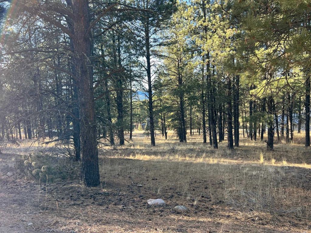 Photo of lot 14 Jackson Hole Rd, Angel Fire, NM 87710 (MLS # 114420)