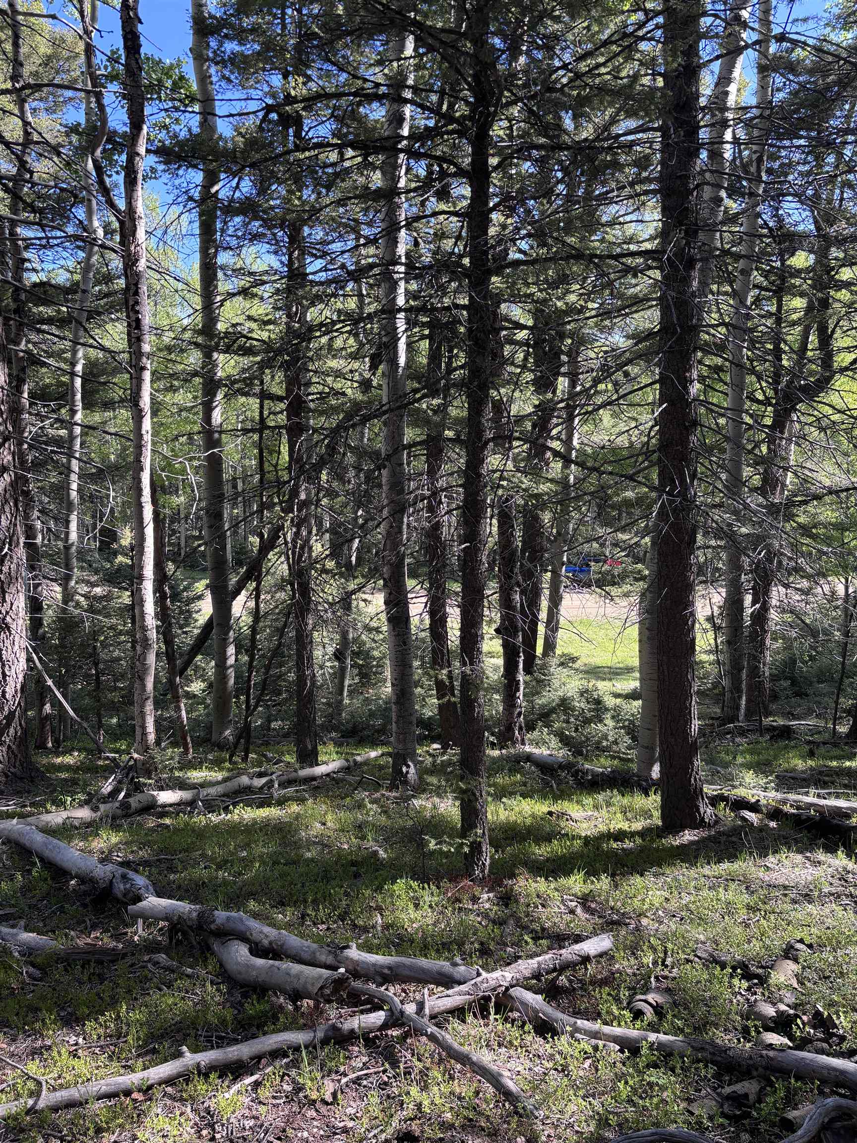 Lot 160 Back Basin Rd #20, Angel Fire, Texas image 7
