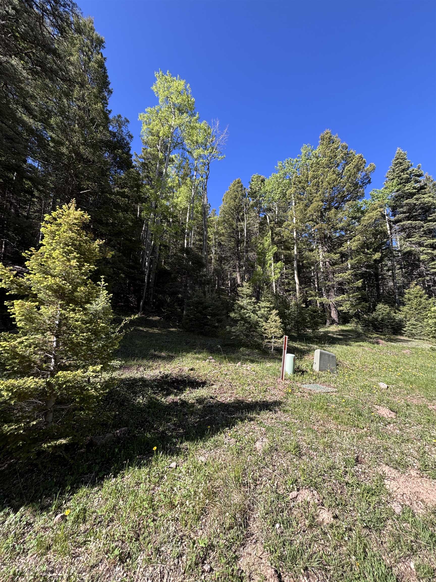 Lot 160 Back Basin Rd #20, Angel Fire, Texas image 4