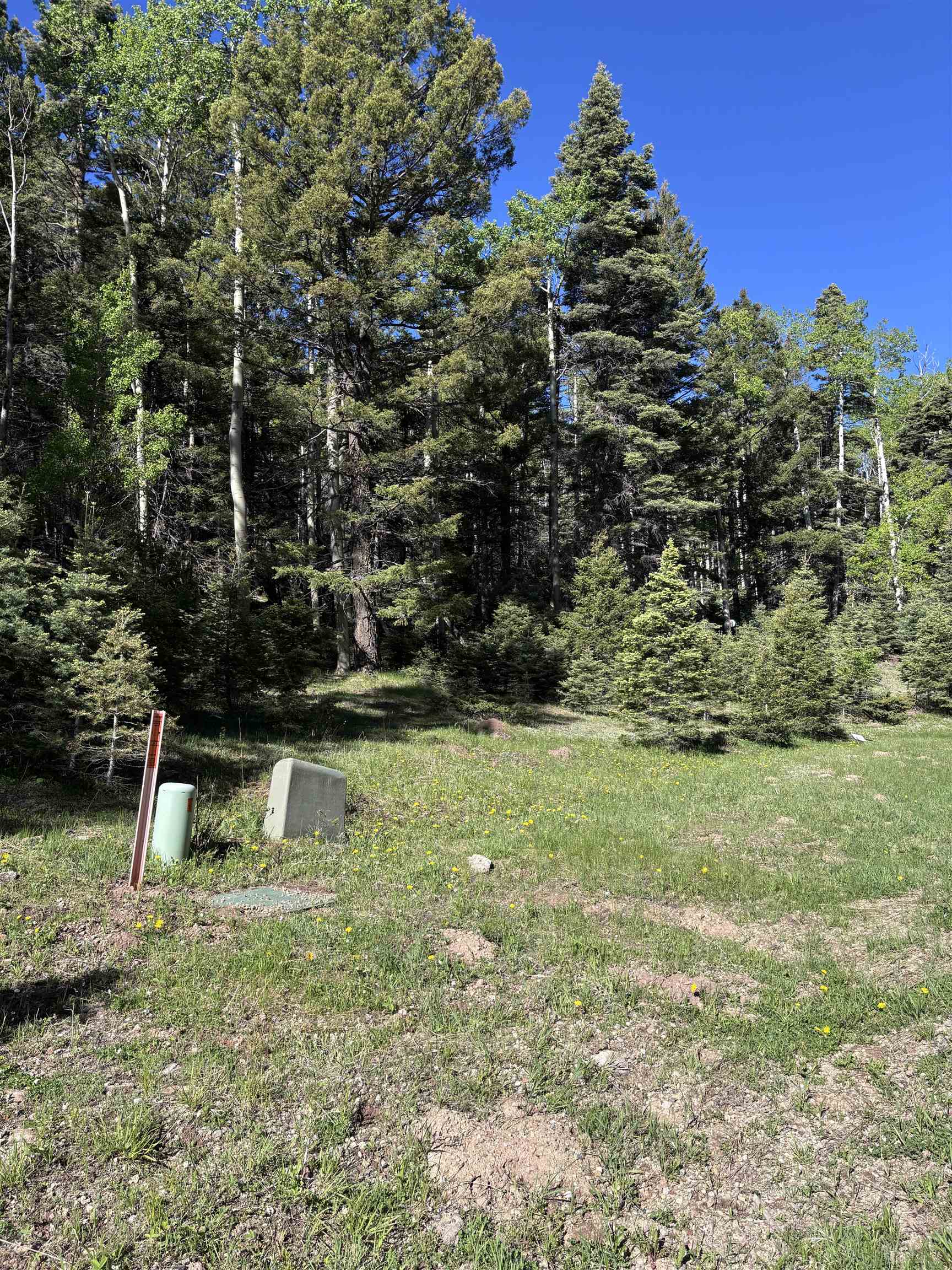 Lot 160 Back Basin Rd #20, Angel Fire, Texas image 1